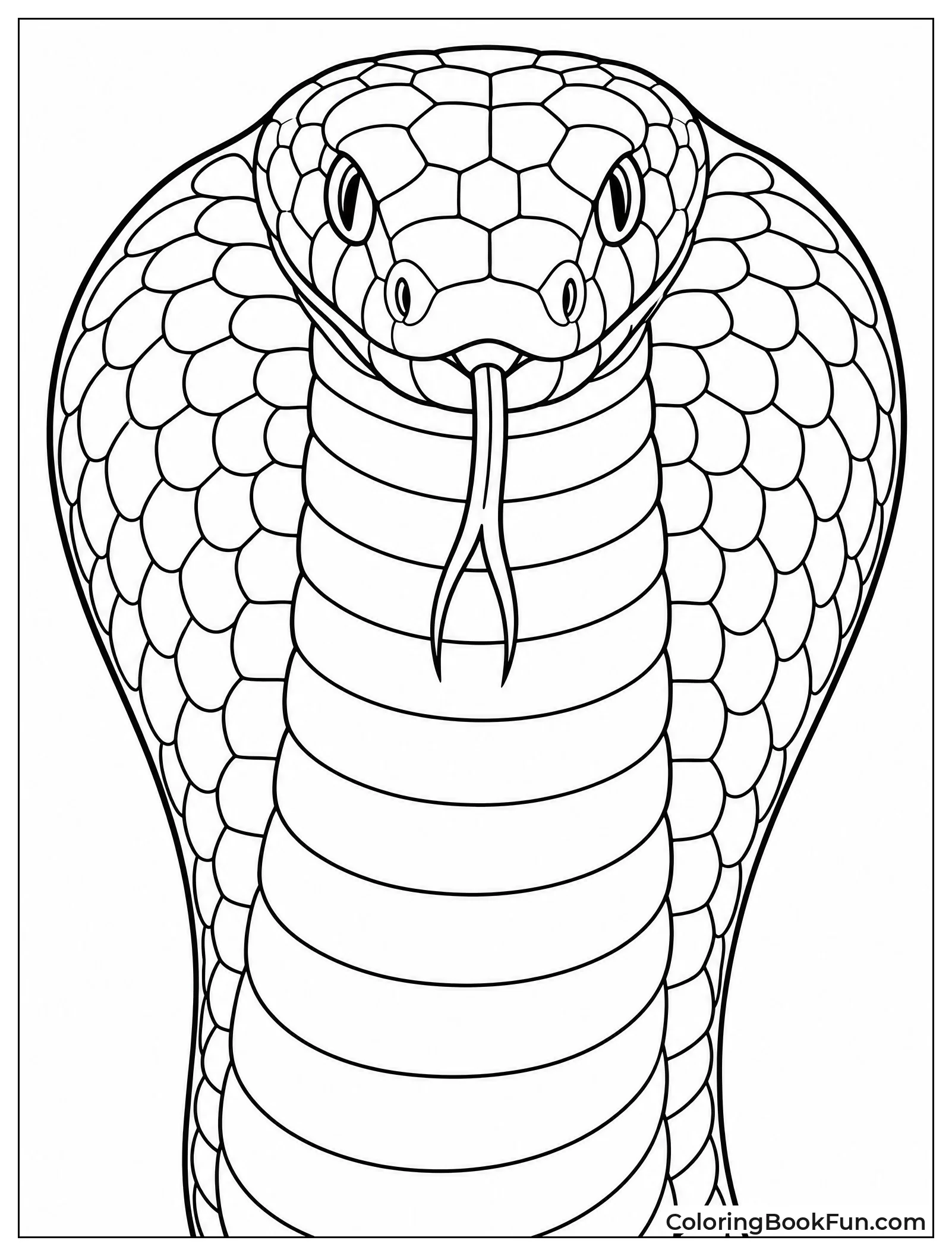 Close Up Portrait of Cobra Head