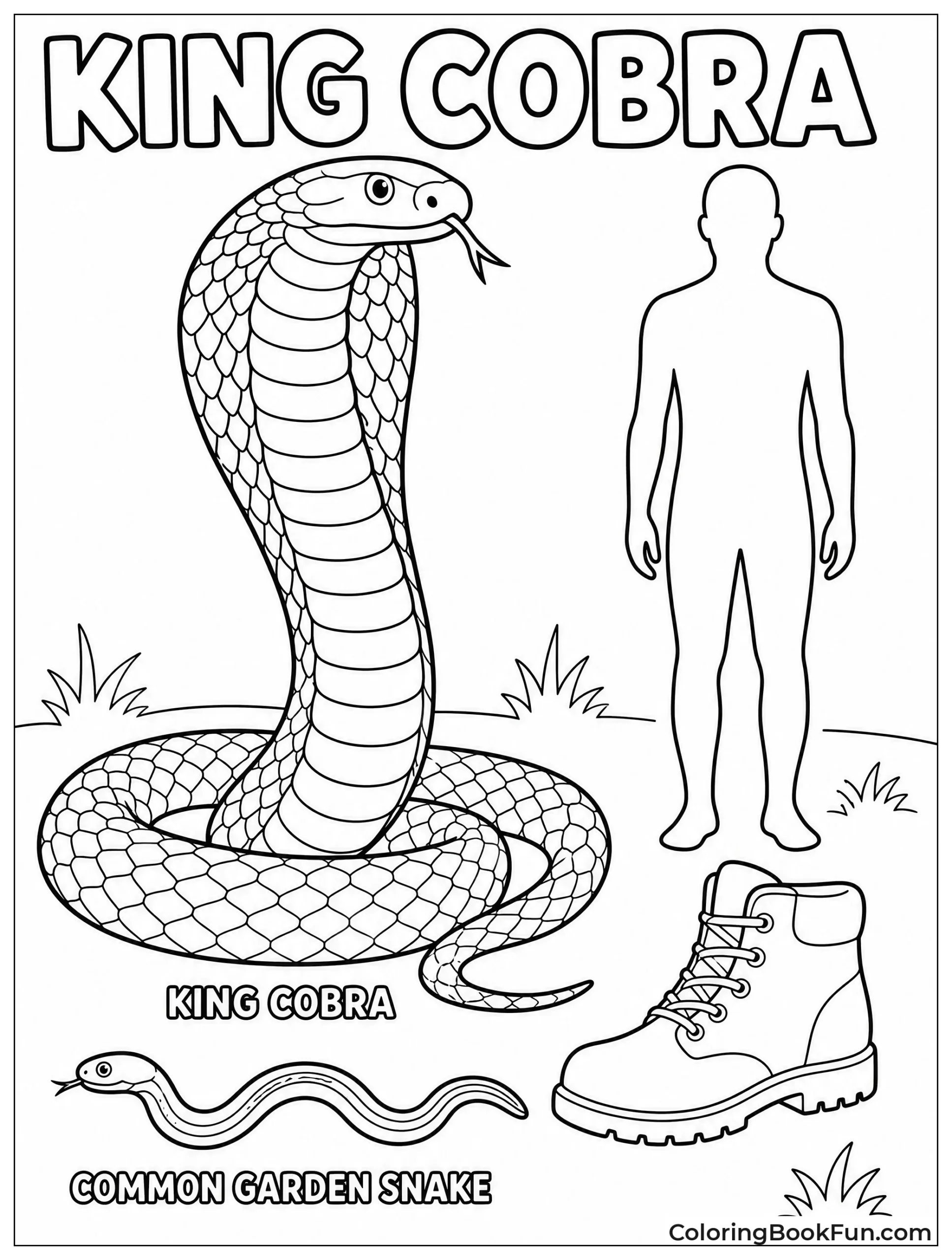 Cobra Next to Human Boot