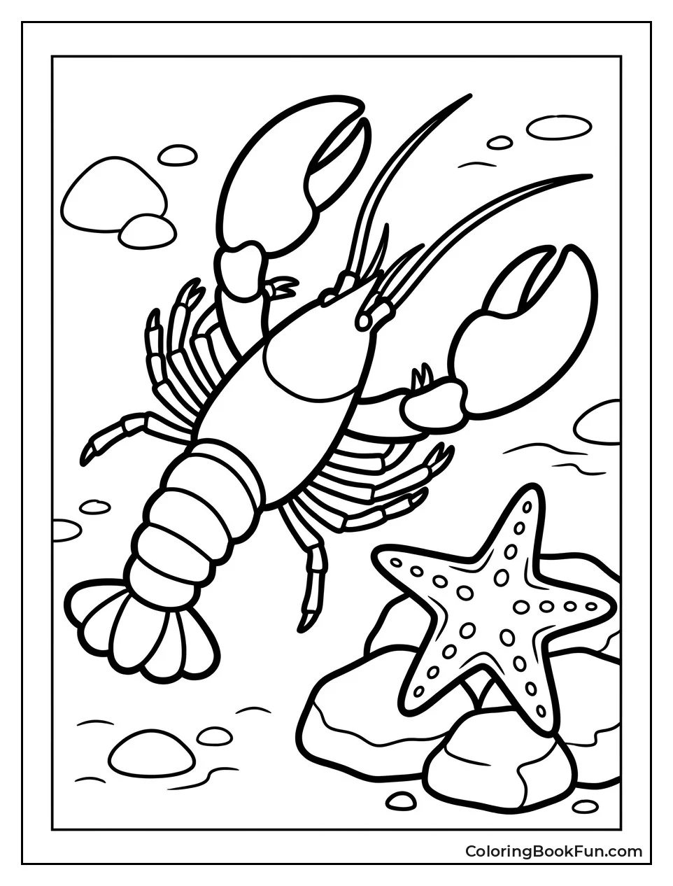 Lobster Crawling Past Starfish