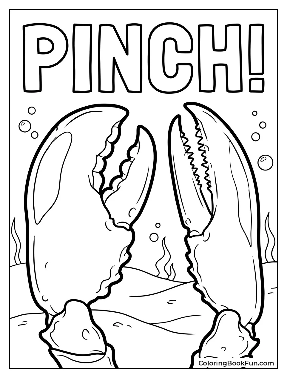 Close Up of Crusher Claw