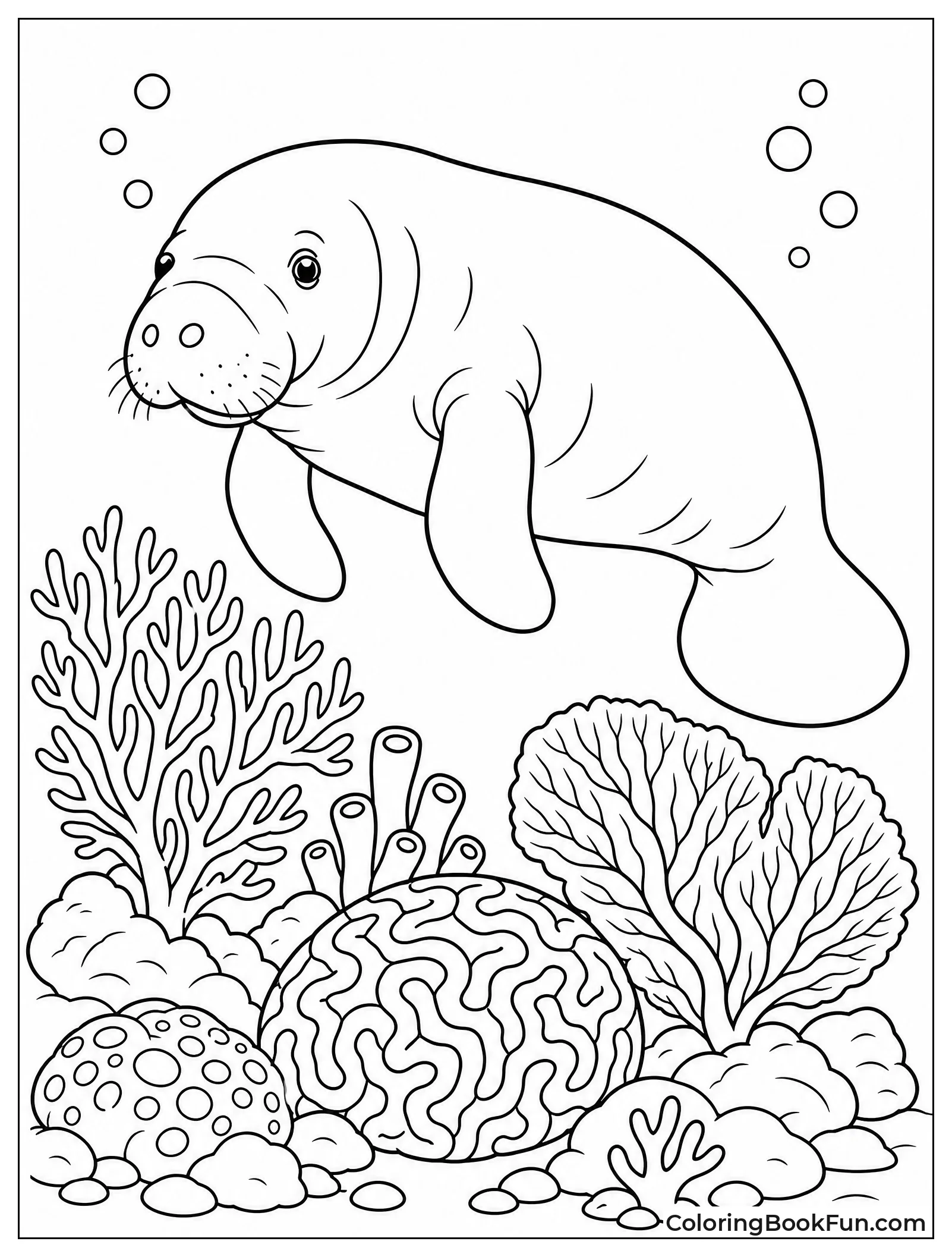 Manatee over Coral Reef