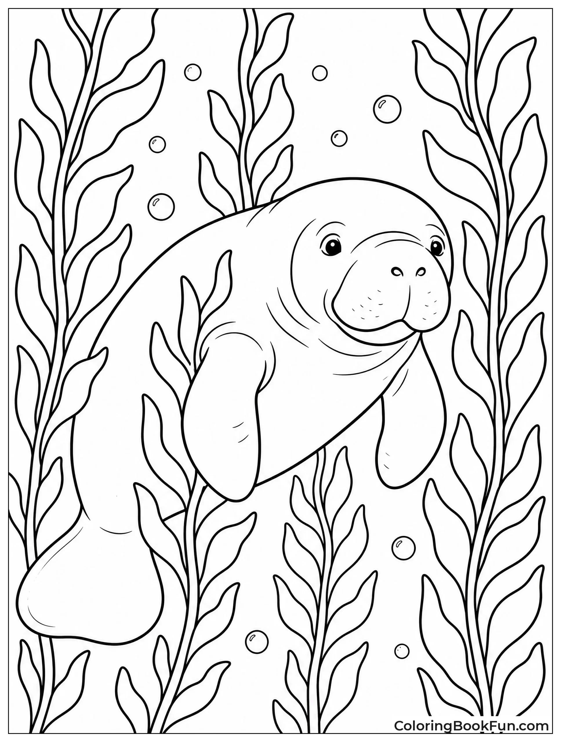 Manatee Swimming in Kelp Forest