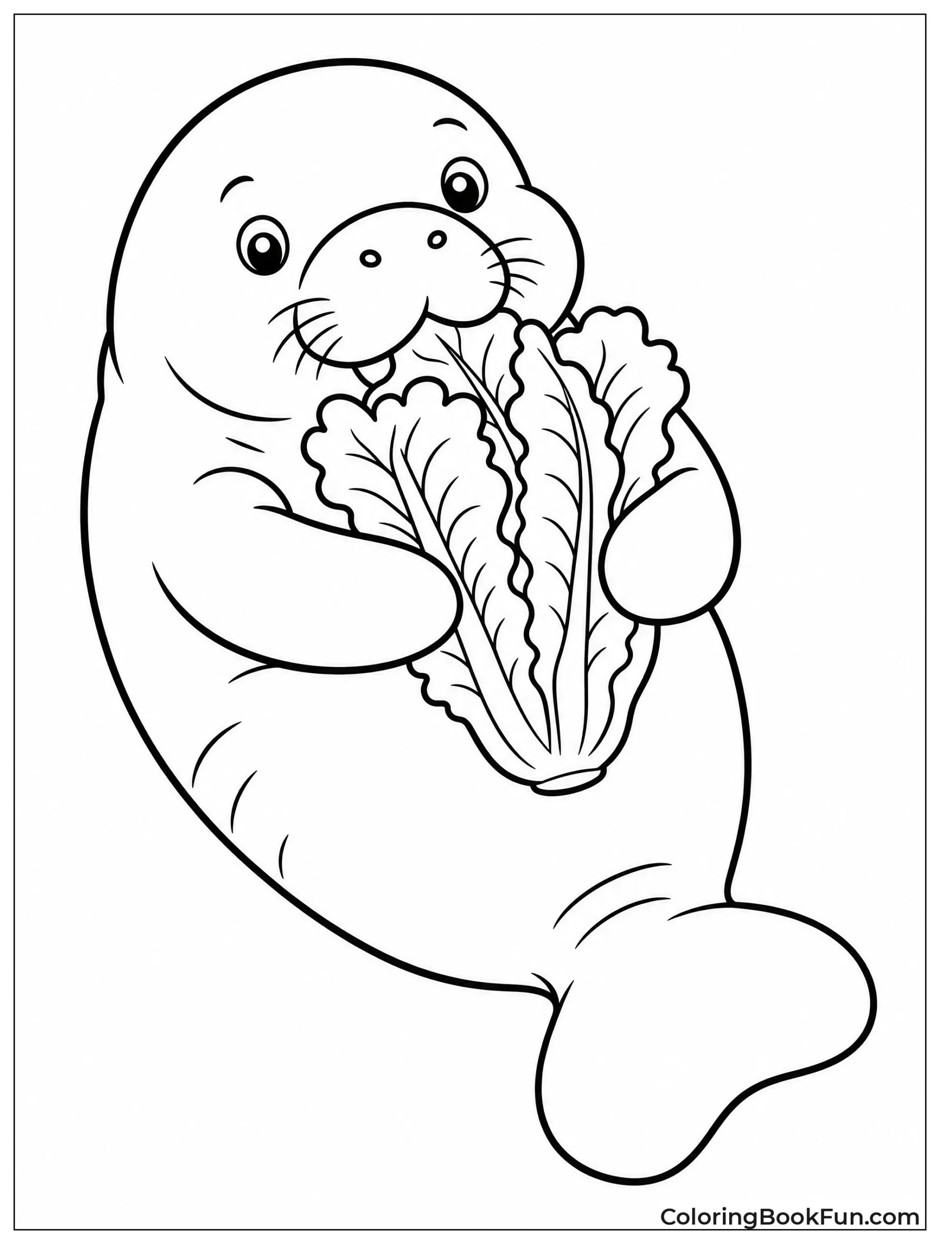 Manatee Eating Lettuce on Back