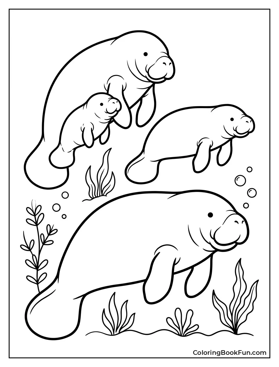 Manatee Life Cycle Stages