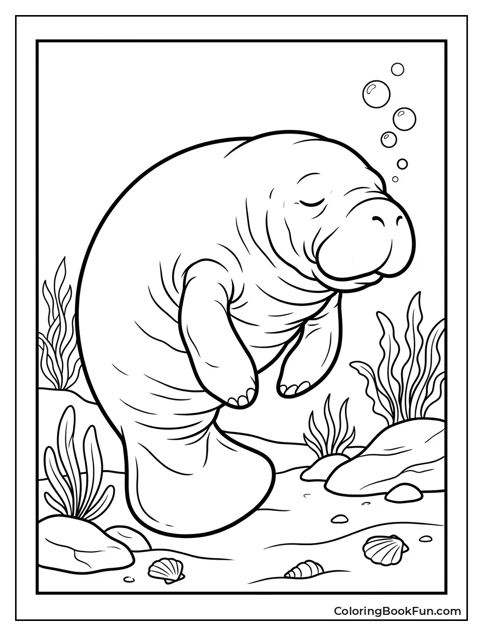Manatee Napping on Riverbed
