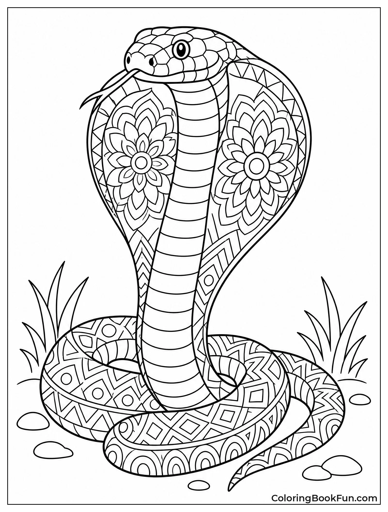 Mandala Patterns on Cobra Hood