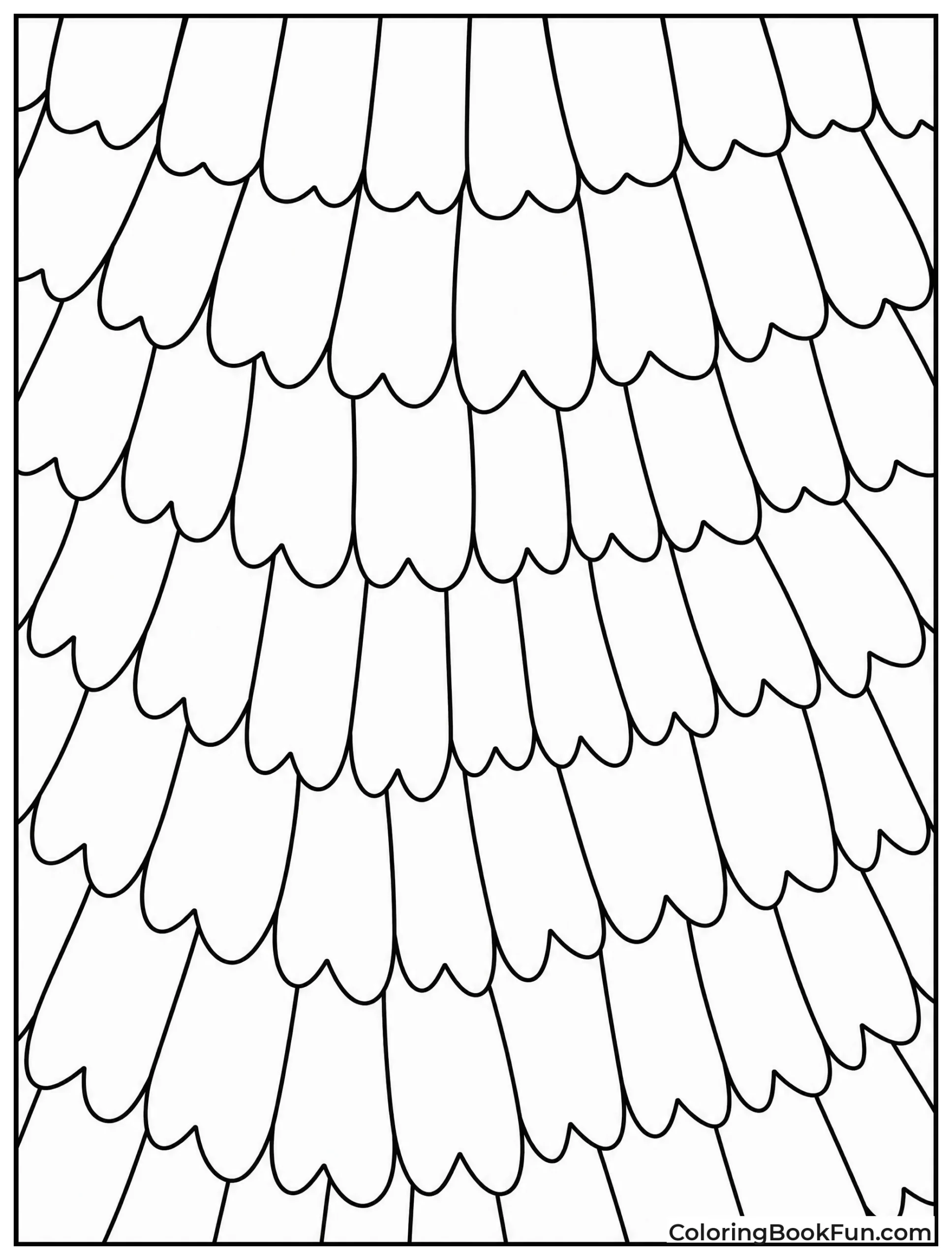 Close Up of Wing Scales