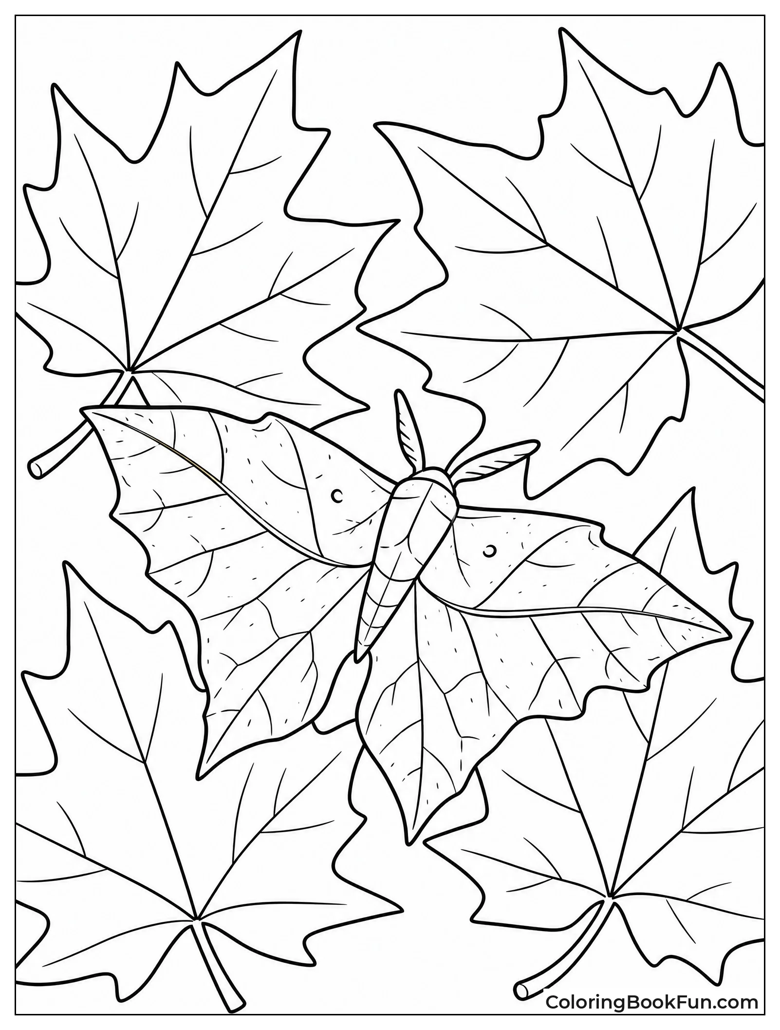Moth Hidden Among Dry Leaves