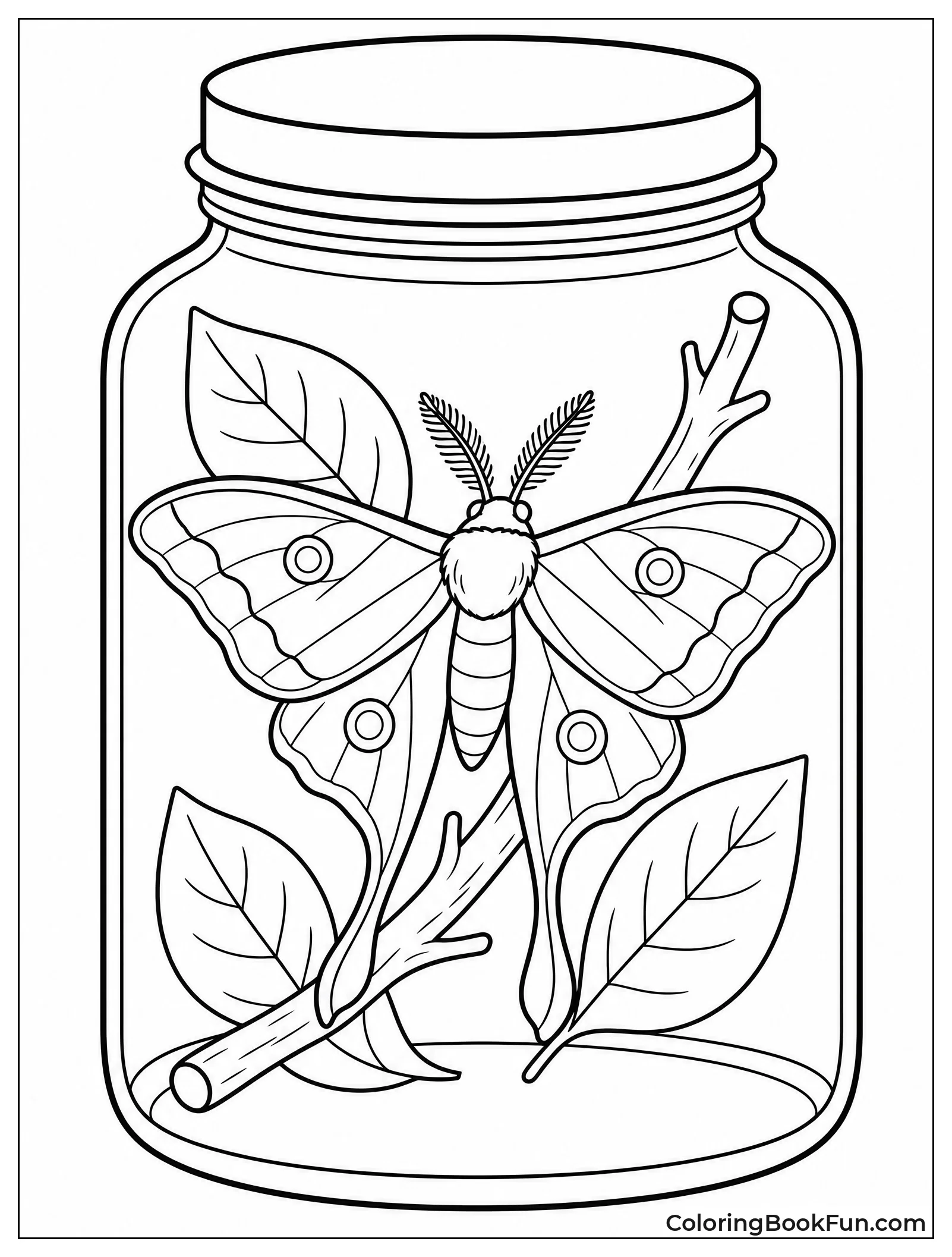 Moth Inside Glass Jar with Leaves