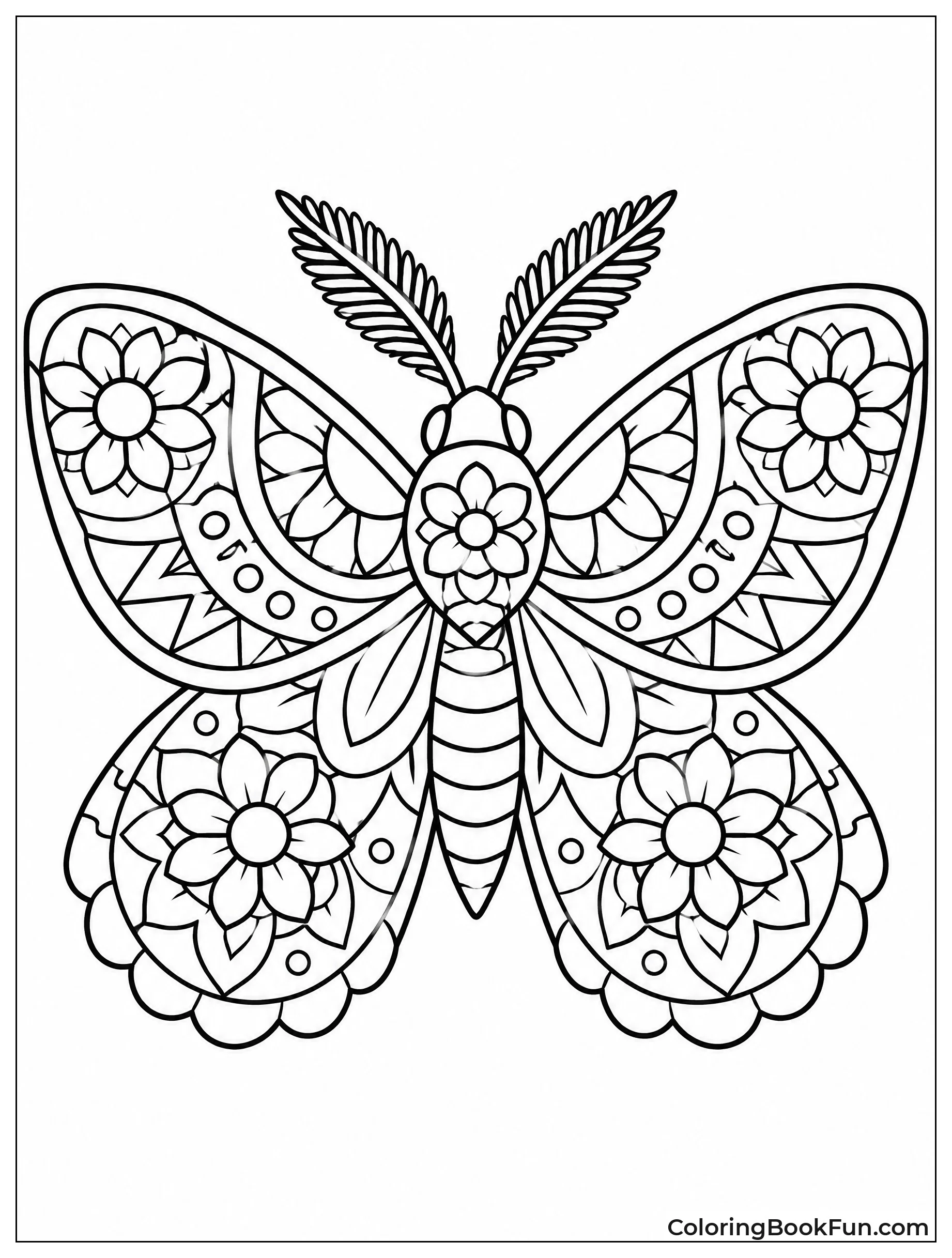 Moth with Mandala Wing Patterns