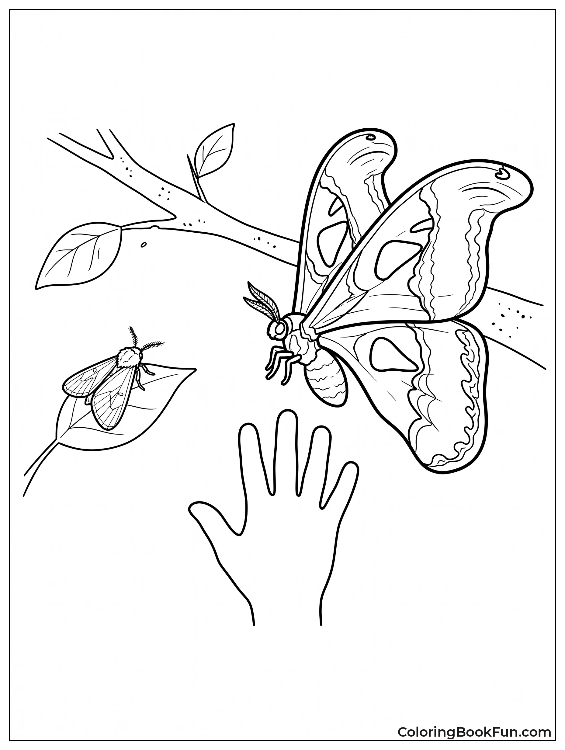 Tiny Moth Next to Giant Moth