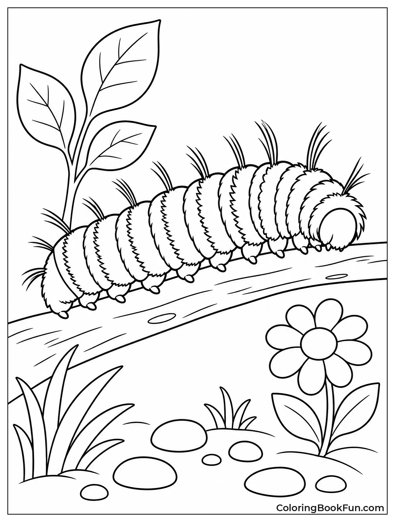 Woolly Bear Caterpillar on Twig