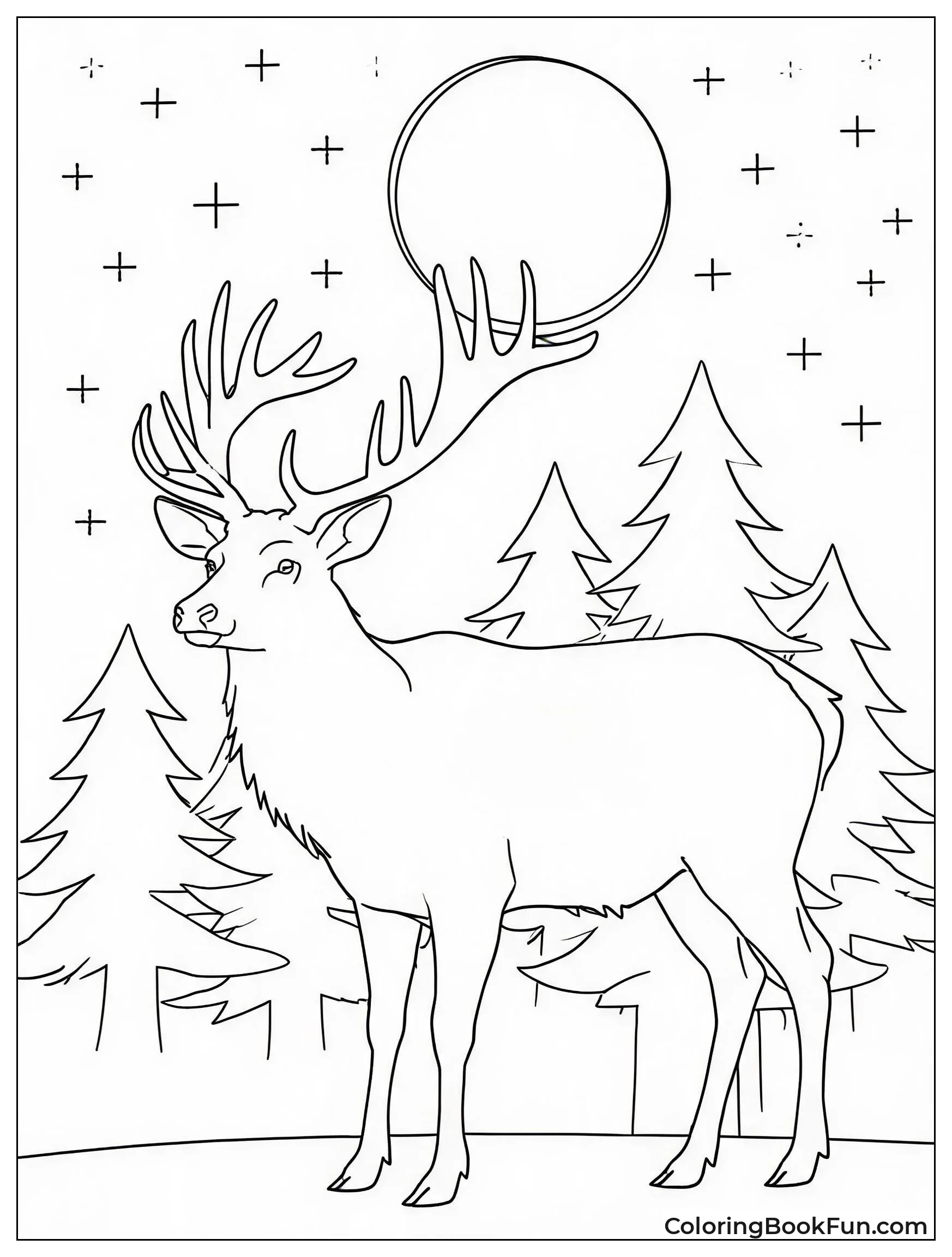 Elk Under Full Moonlight