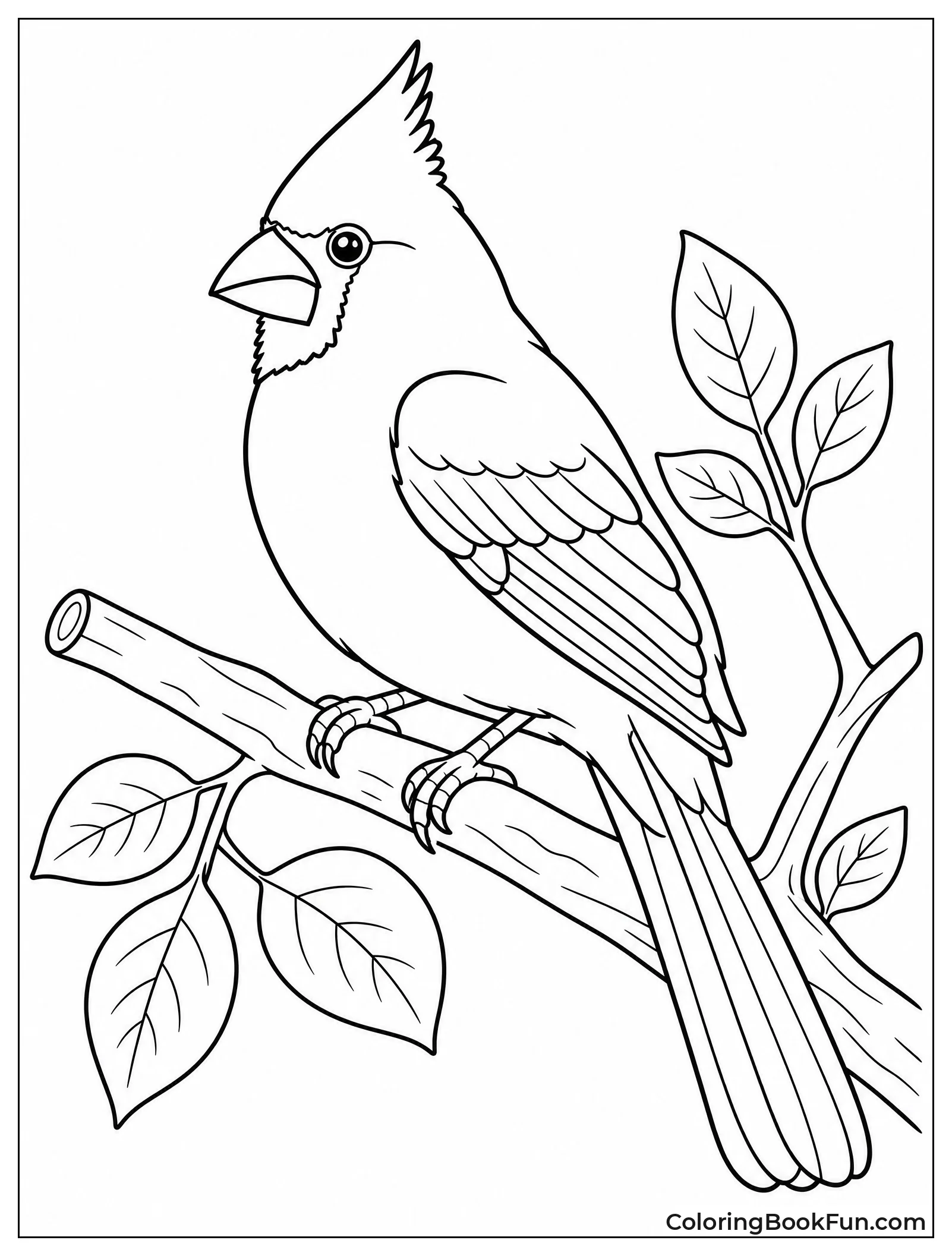 Northern Cardinal Shows Red Feathers