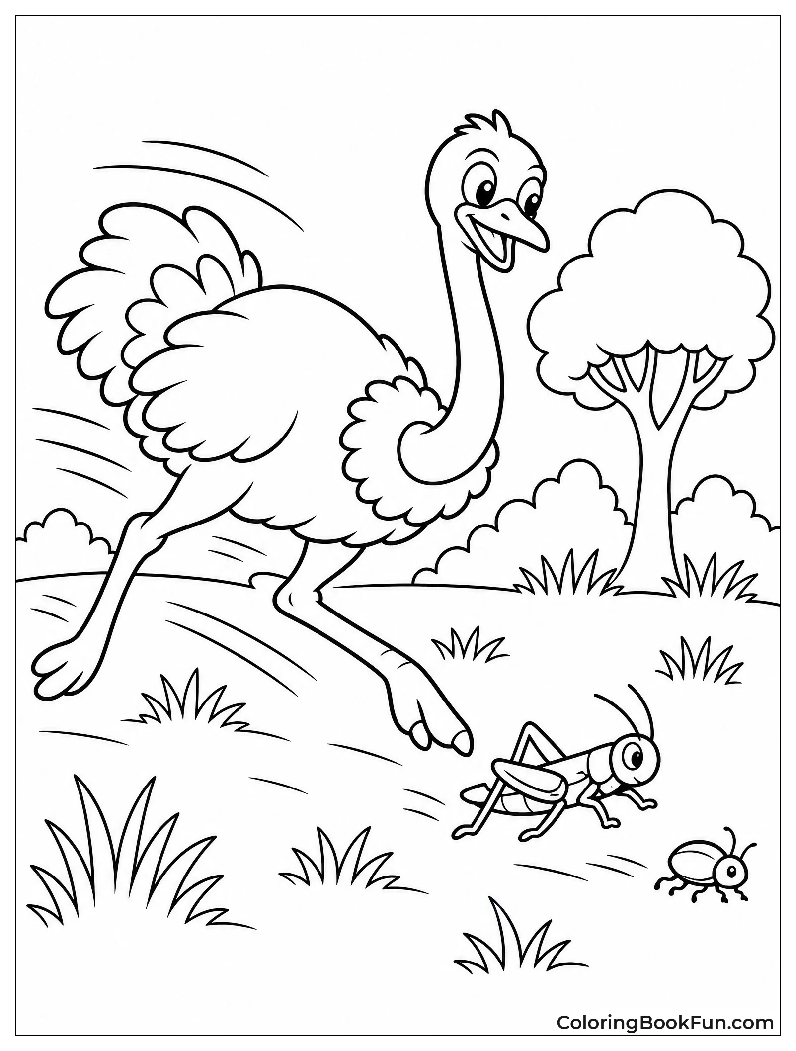 Ostrich Chases Bugs Through Grass