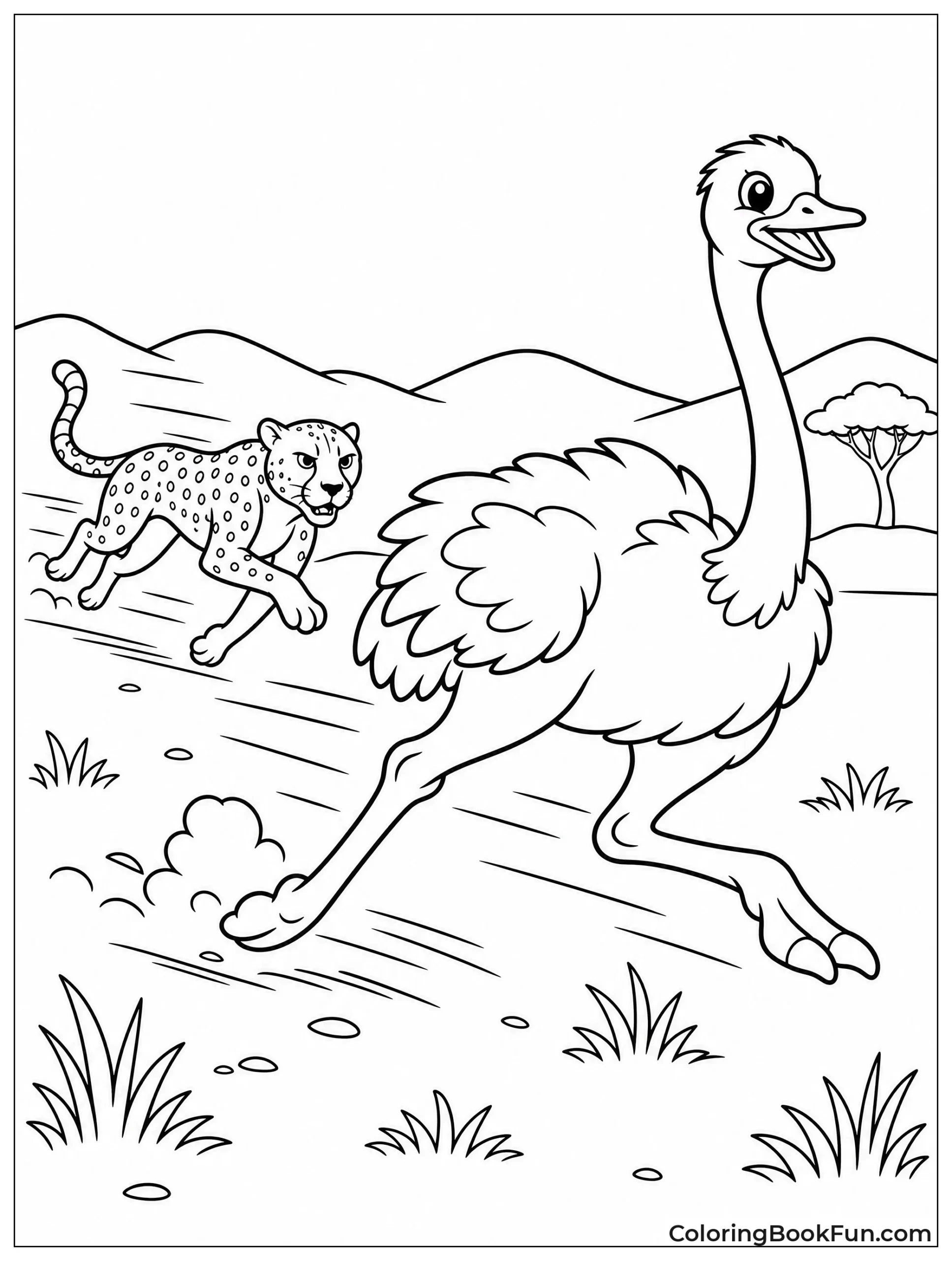 Ostrich Outruns Cheetah in Chase