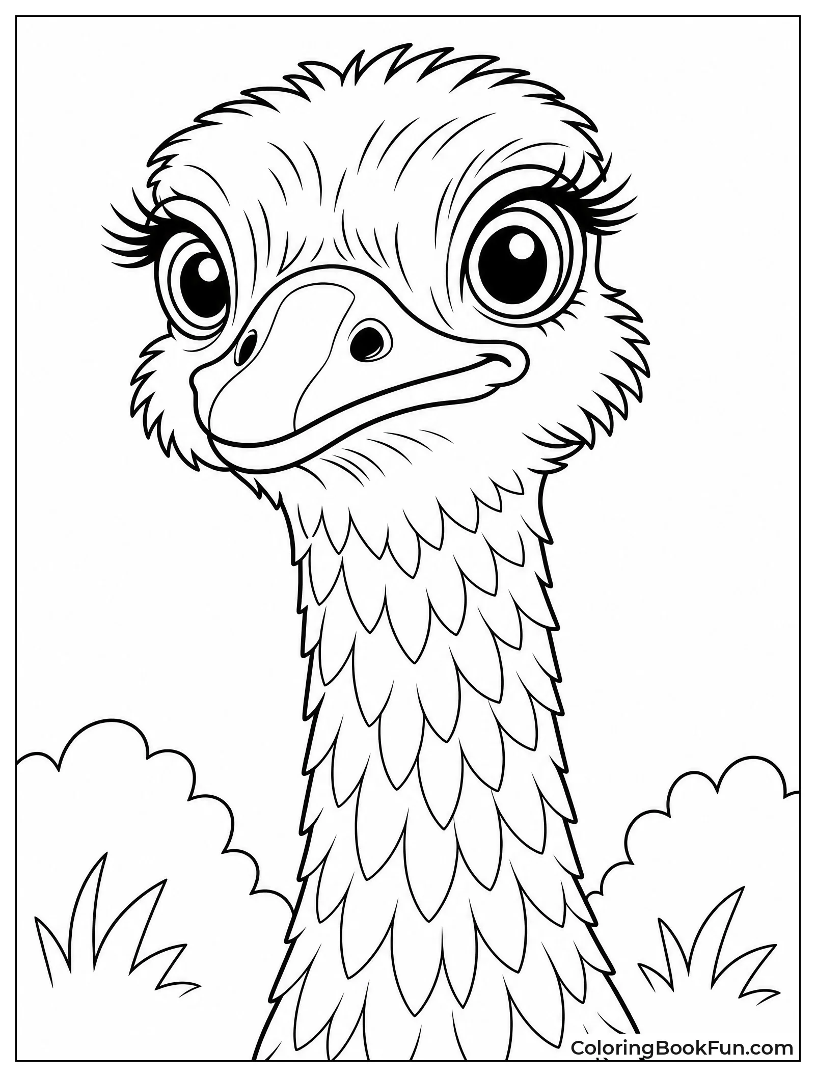 Closeup Shows Ostrich Head Details