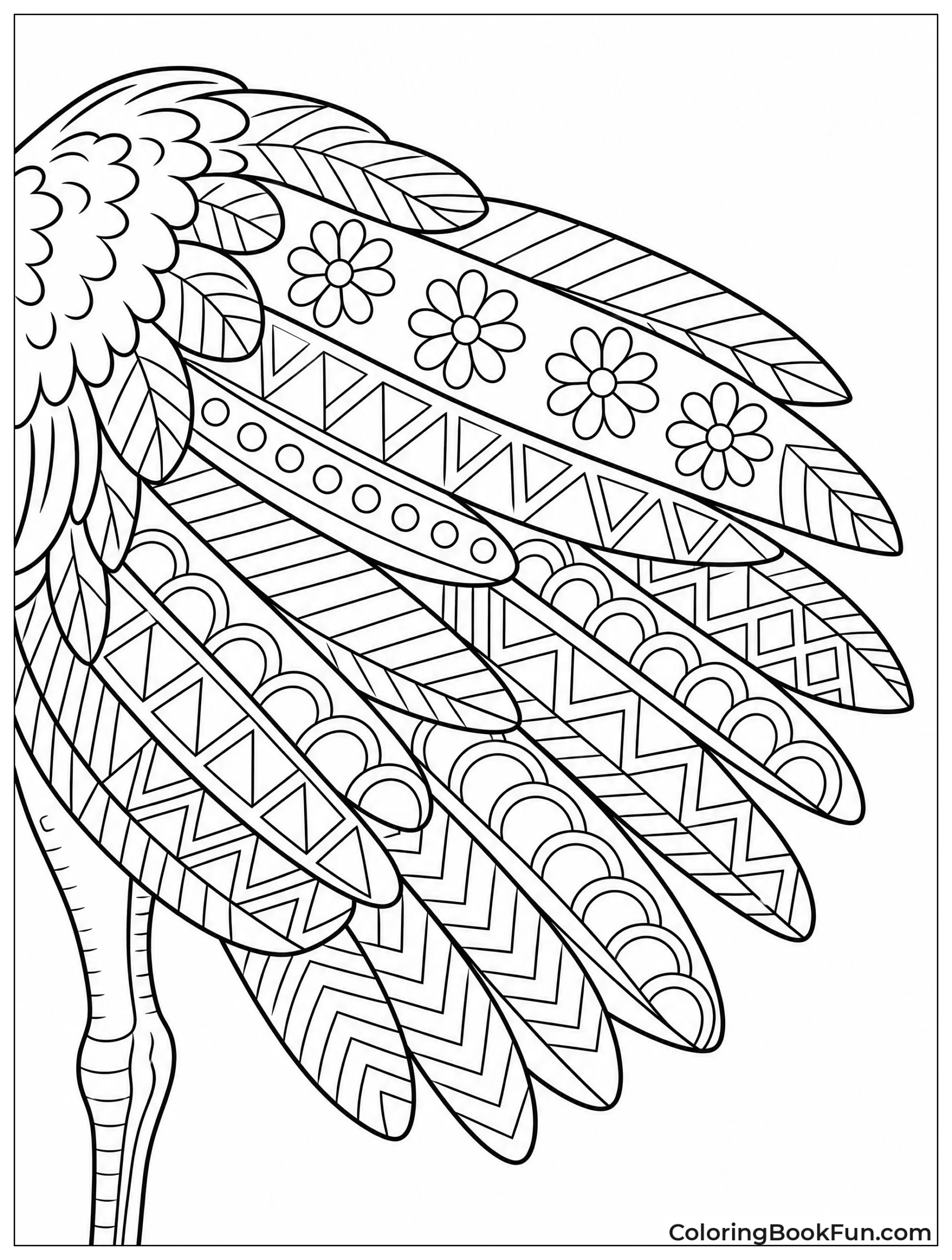 Feathers Show Detailed Zentangle Patterns