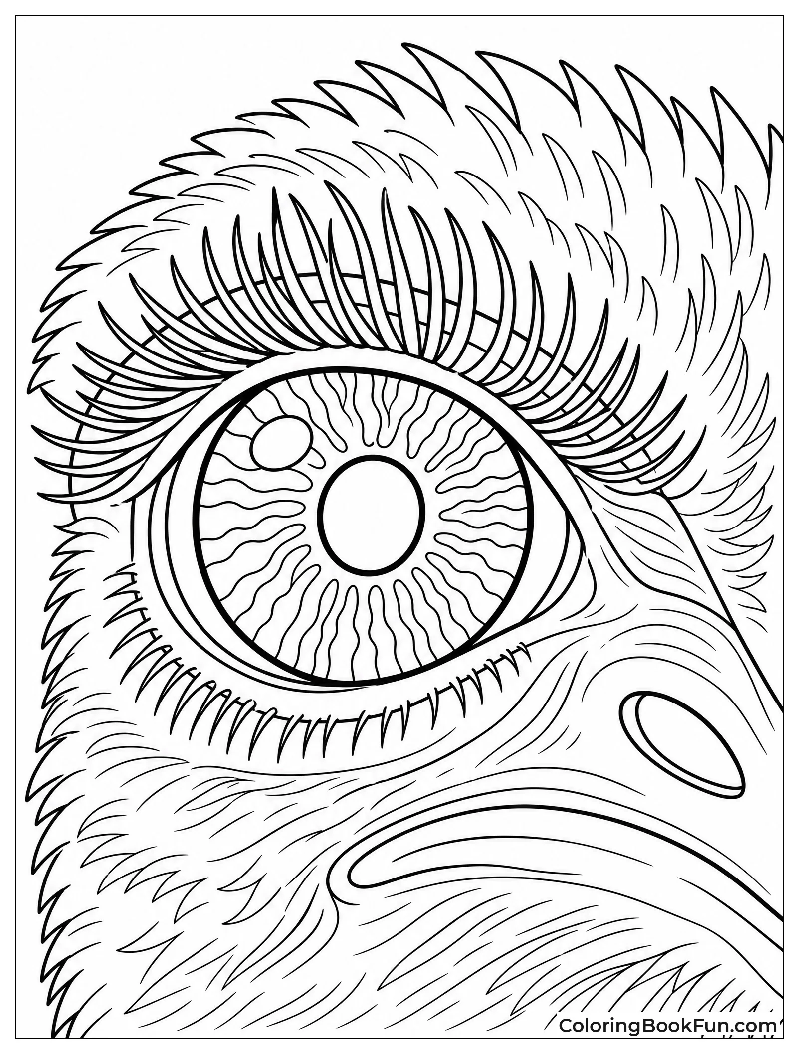 Big Eye with Long Lashes