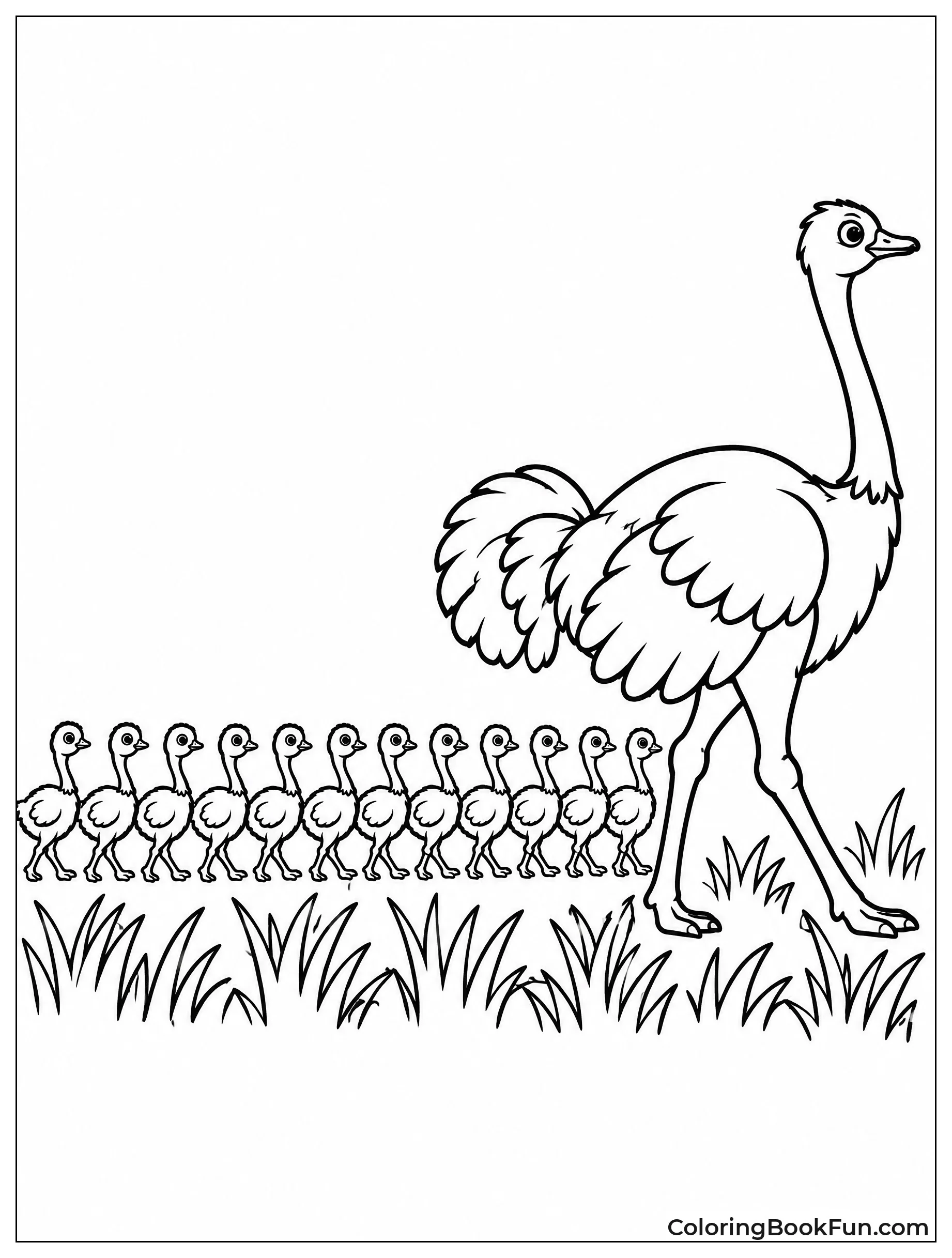 Mother Ostrich Leads Her Chicks