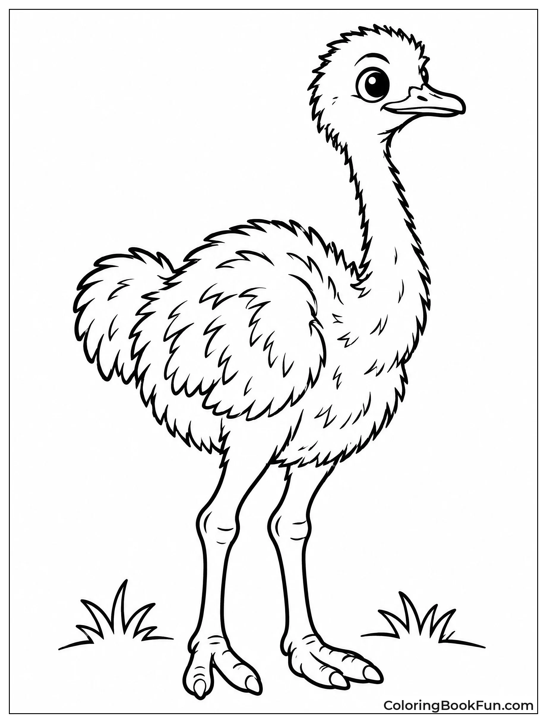 Young Ostrich Shows Fluffy Feathers