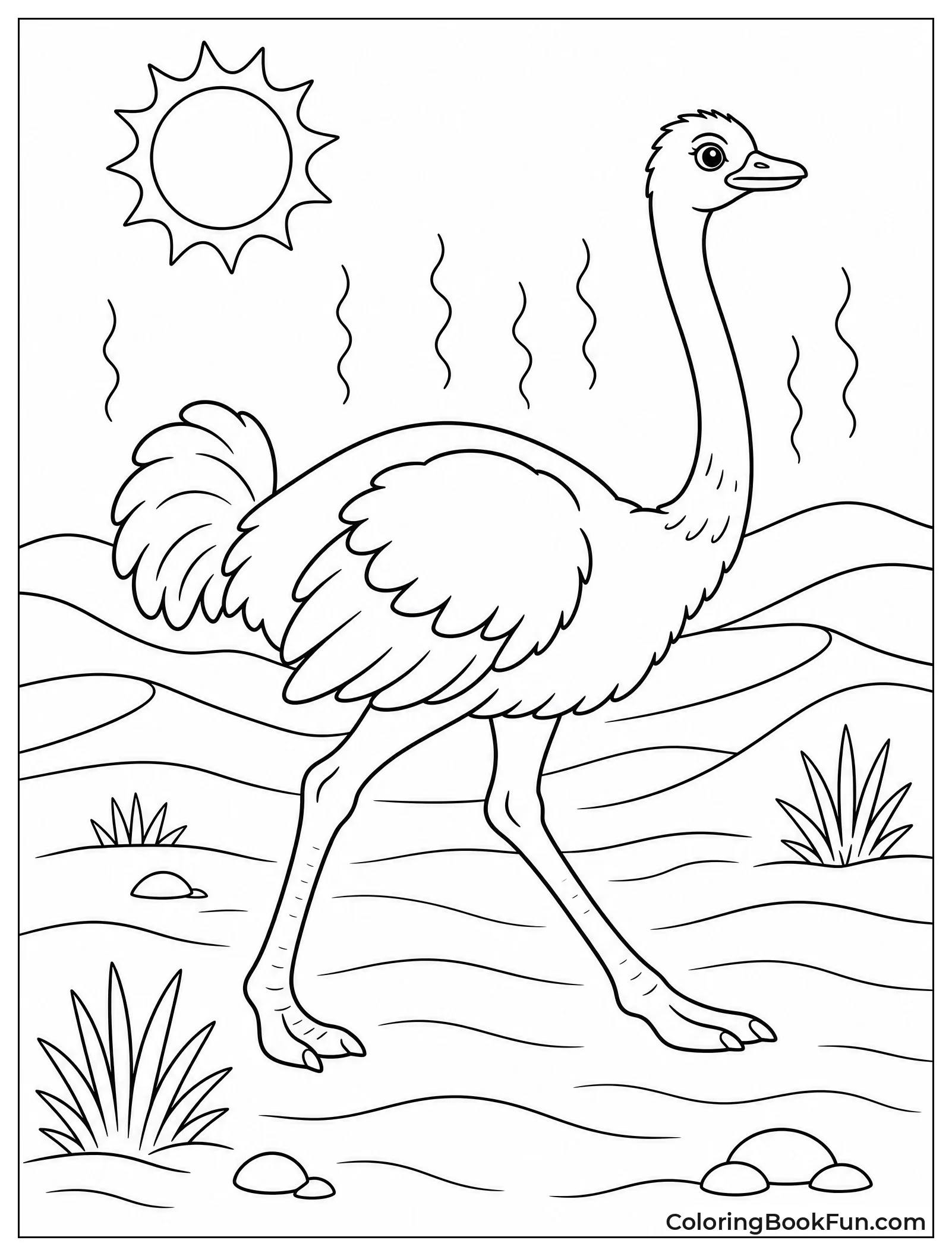Ostrich Crosses Sandy Desert Dunes