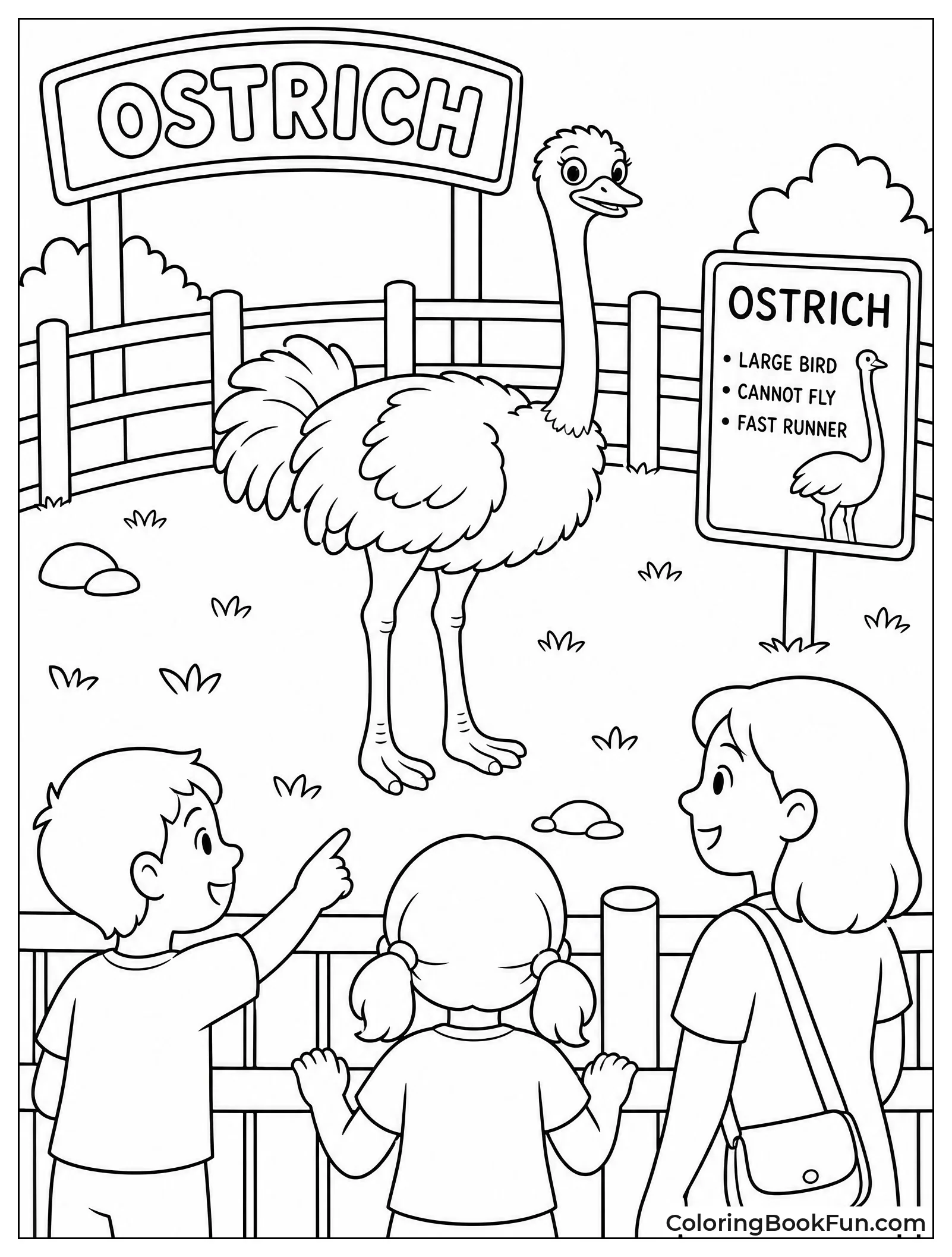 Ostrich Stands in Zoo Pen
