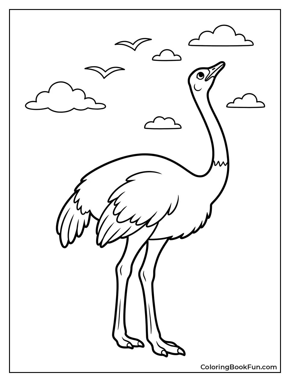 Ostrich Looks Up at Sky