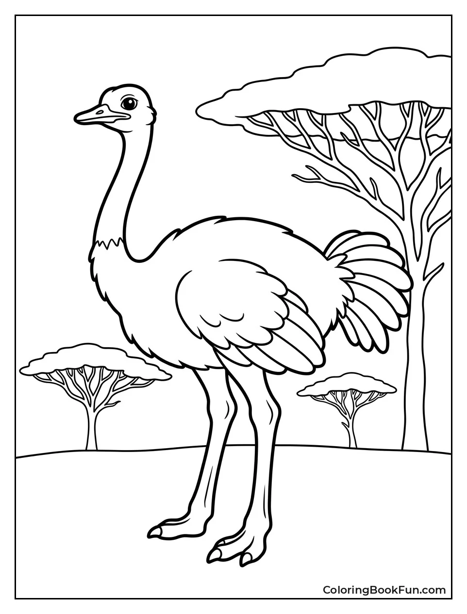 Ostrich Stands by Acacia Trees