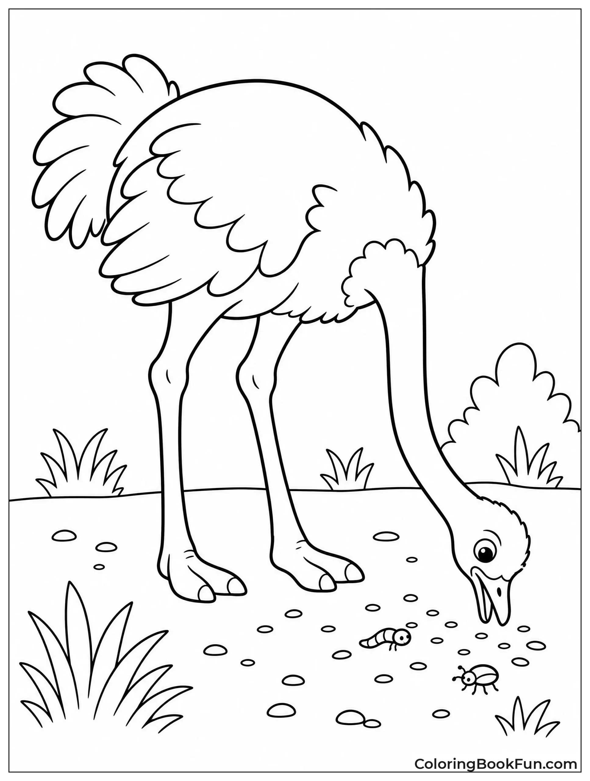 Ostrich Pecks Seeds on Ground