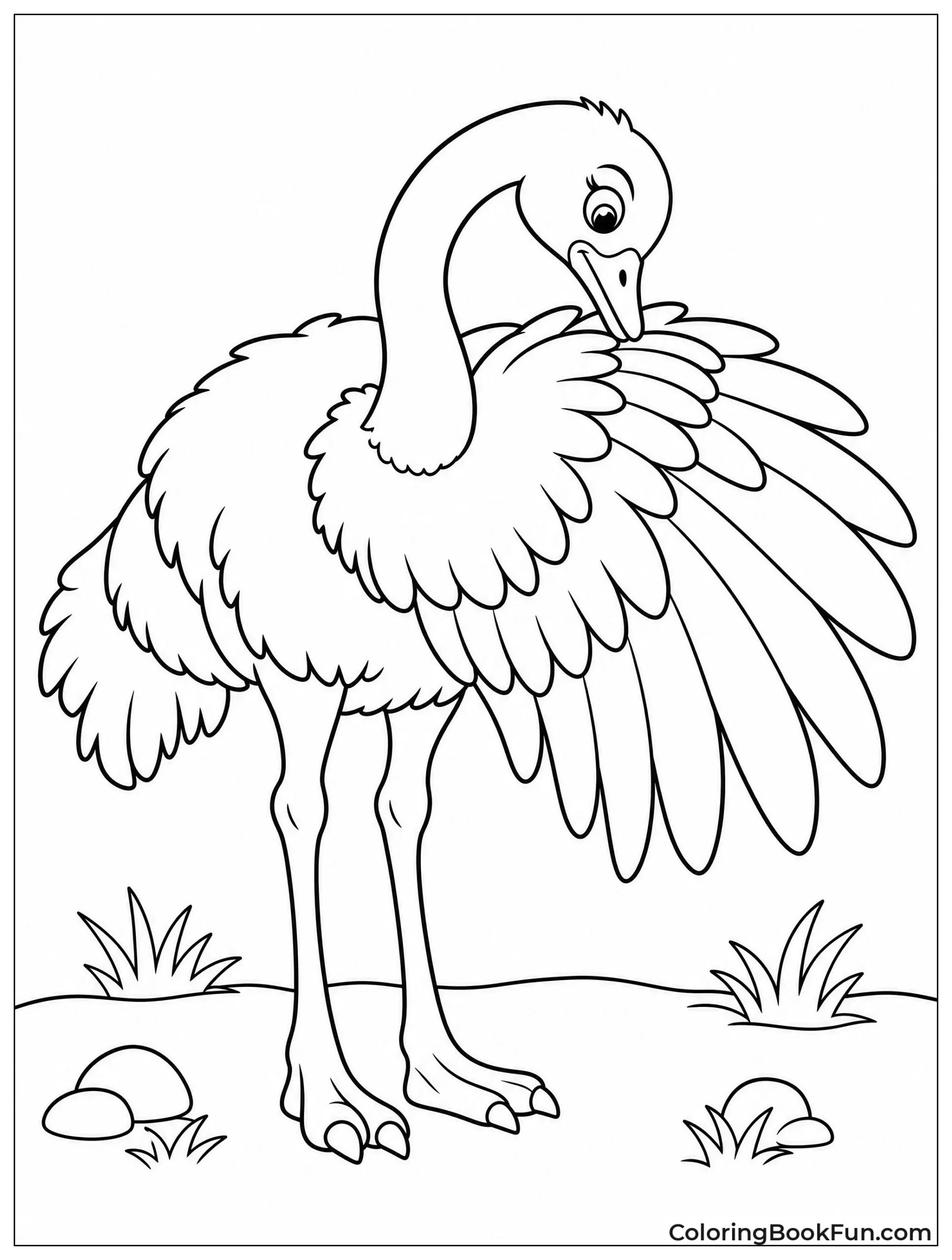 Ostrich Preens Its Soft Feathers