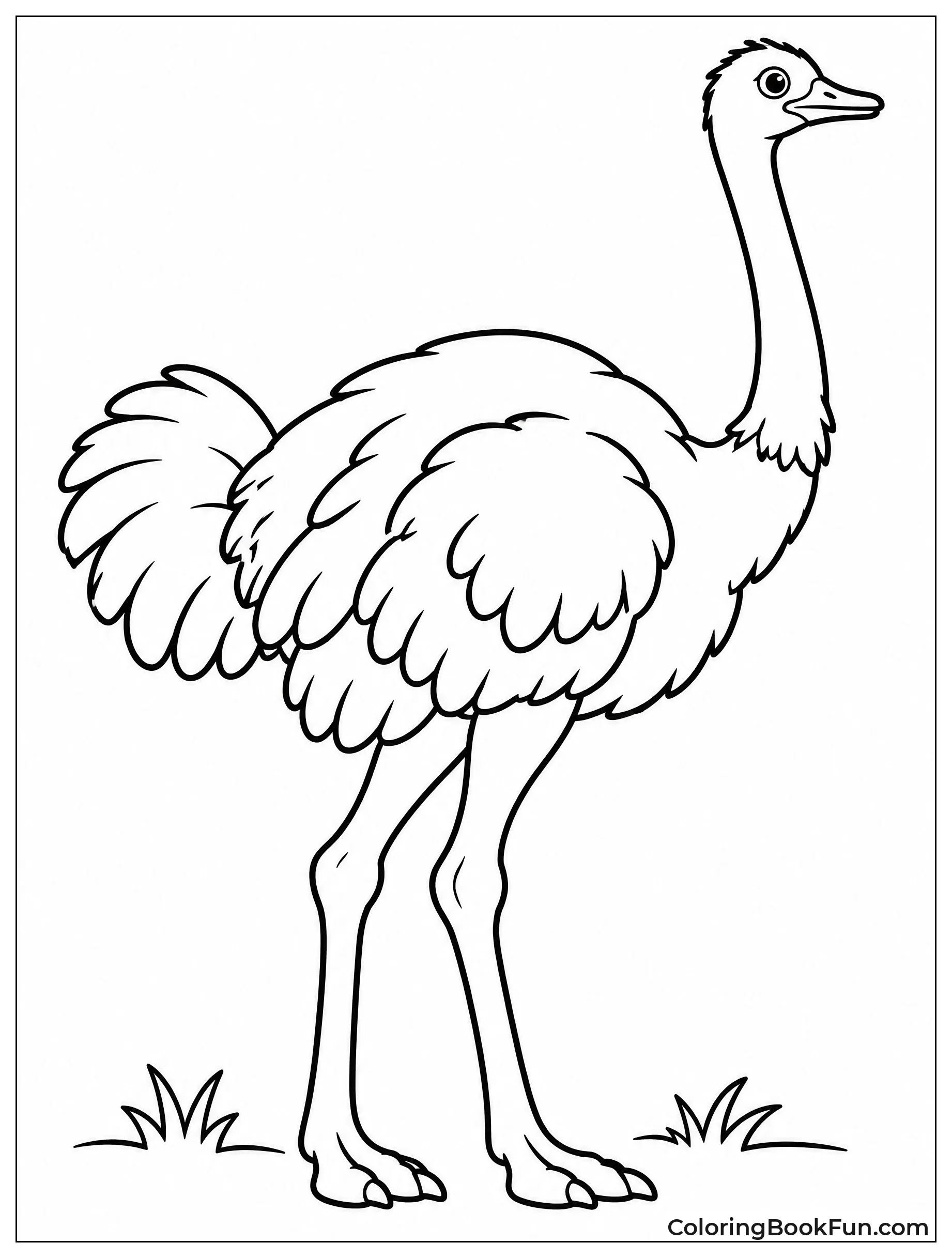 Side View of Full Ostrich