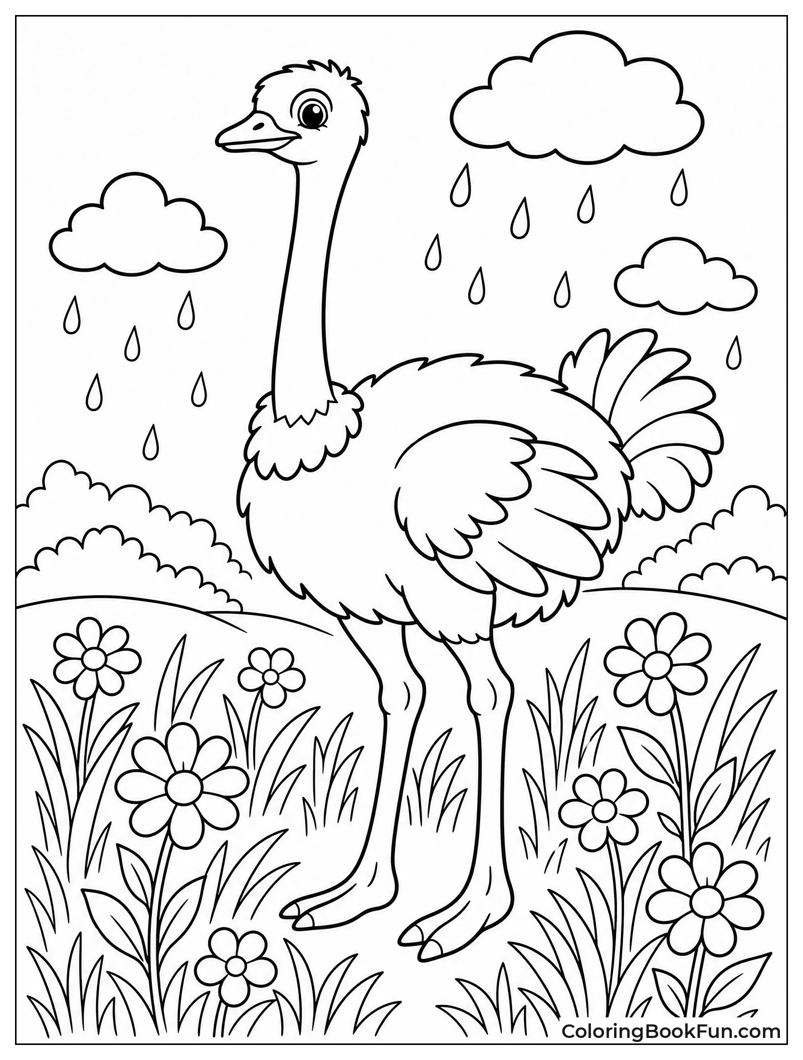 Ostrich Enjoys Rainy Green Grass