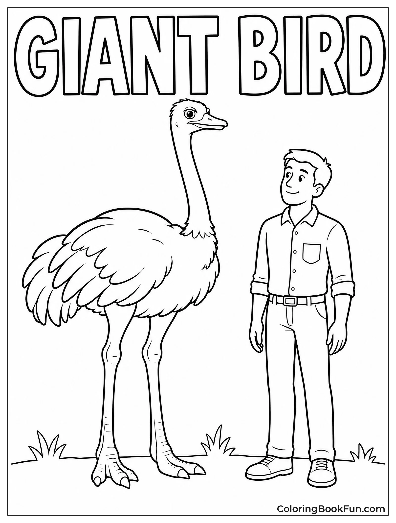 Ostrich Stands Tall Next to Person