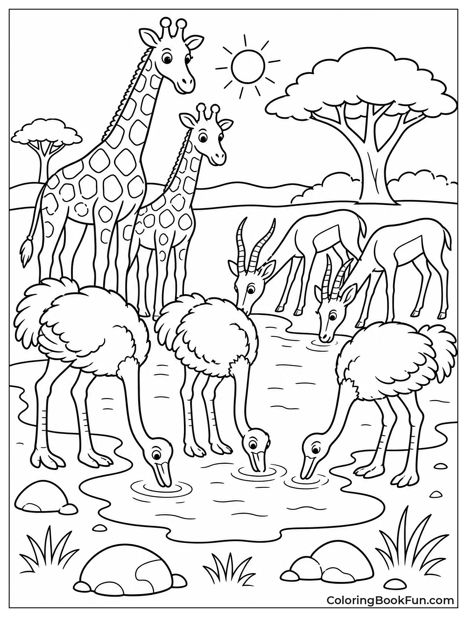 Ostriches Drink with Other Animals