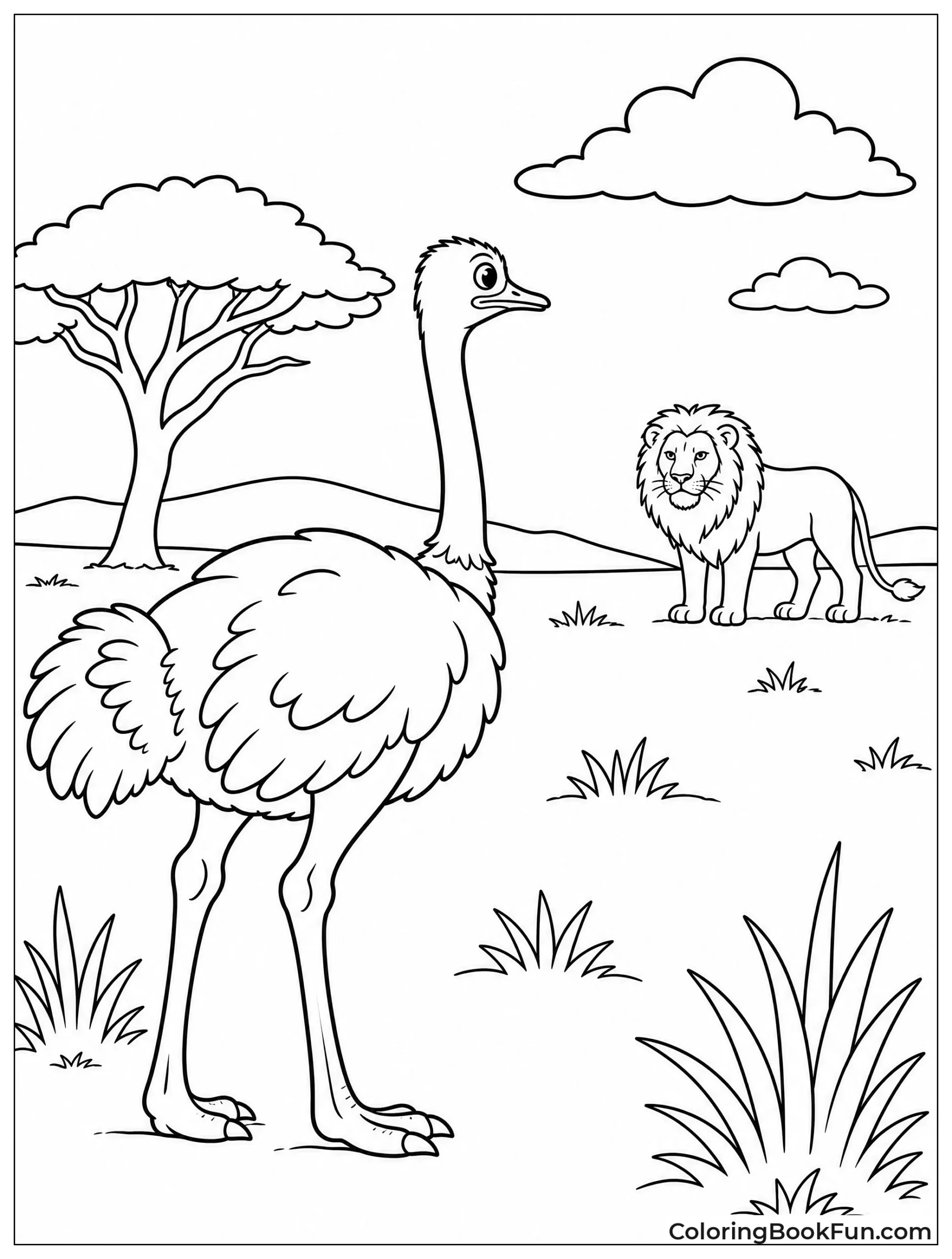 Ostrich Watches Lion from Afar