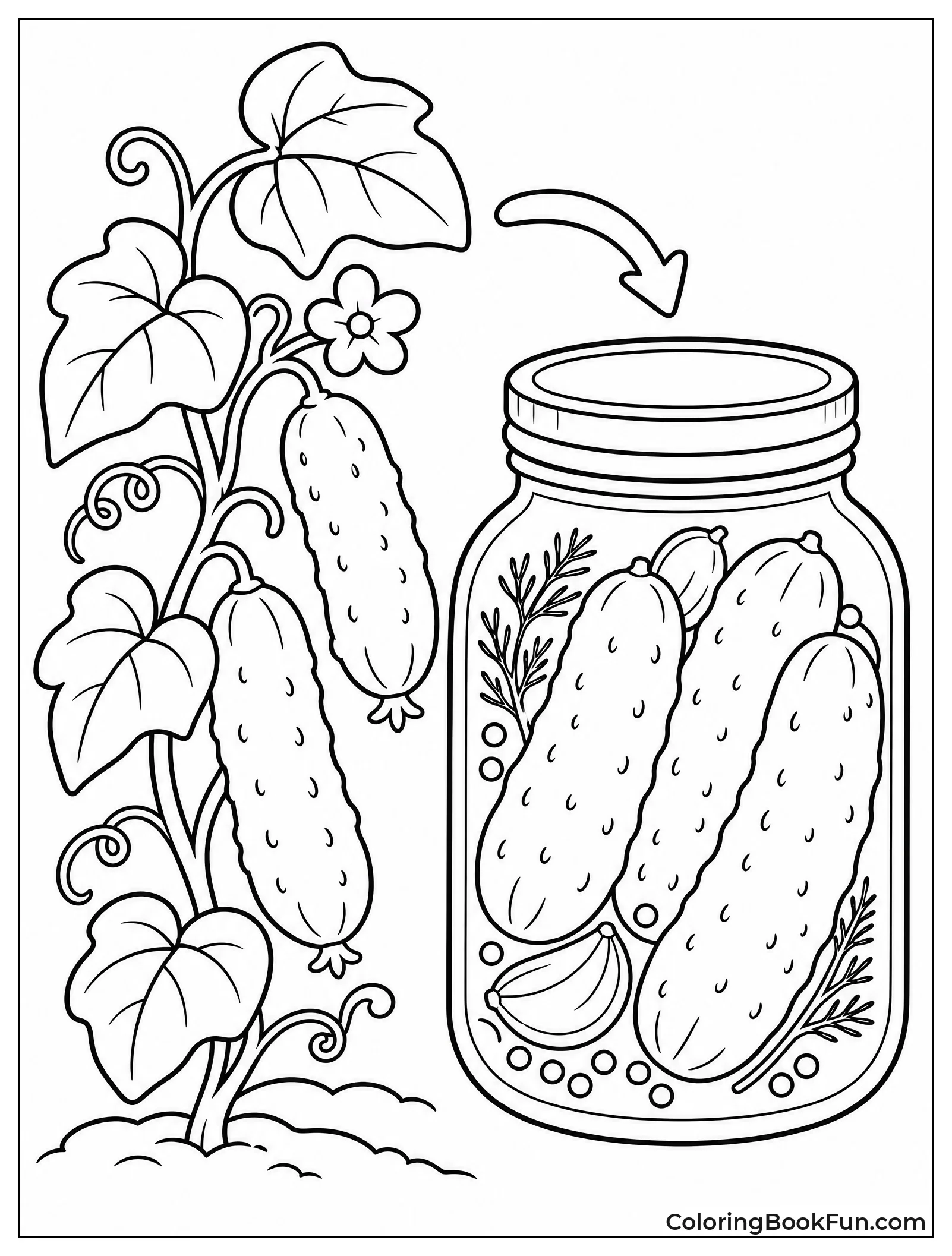 Cucumbers Growing into Pickles