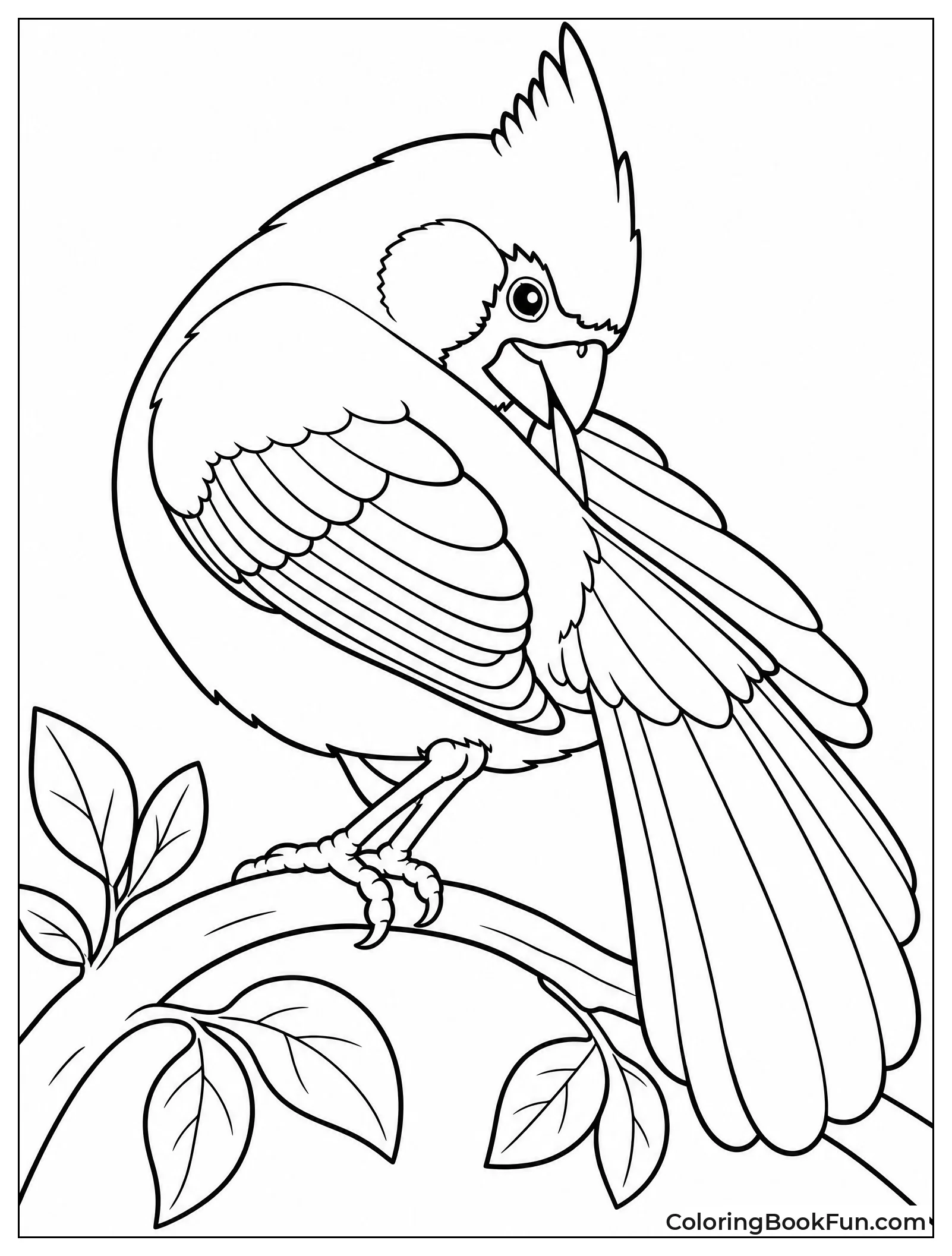 Cardinal Preening Its Tail Feathers