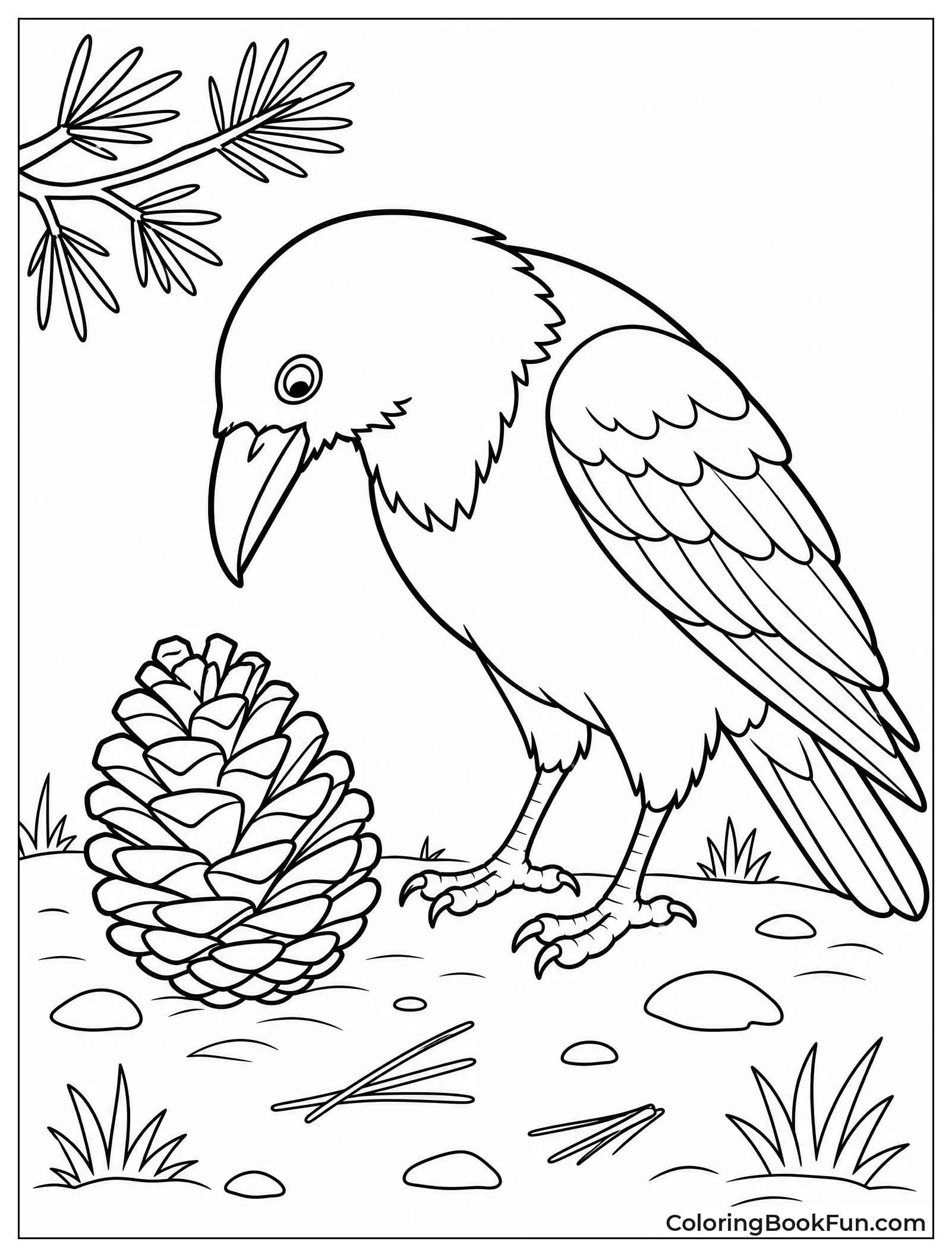 Raven Looks at Pinecone on Ground