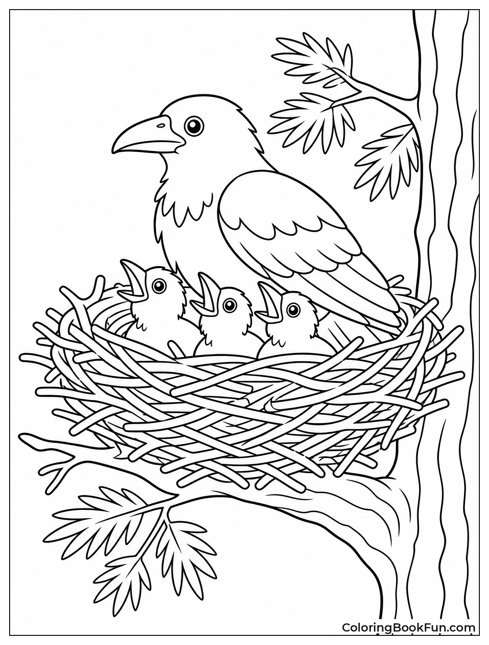 Mother Raven in Nest with Chicks