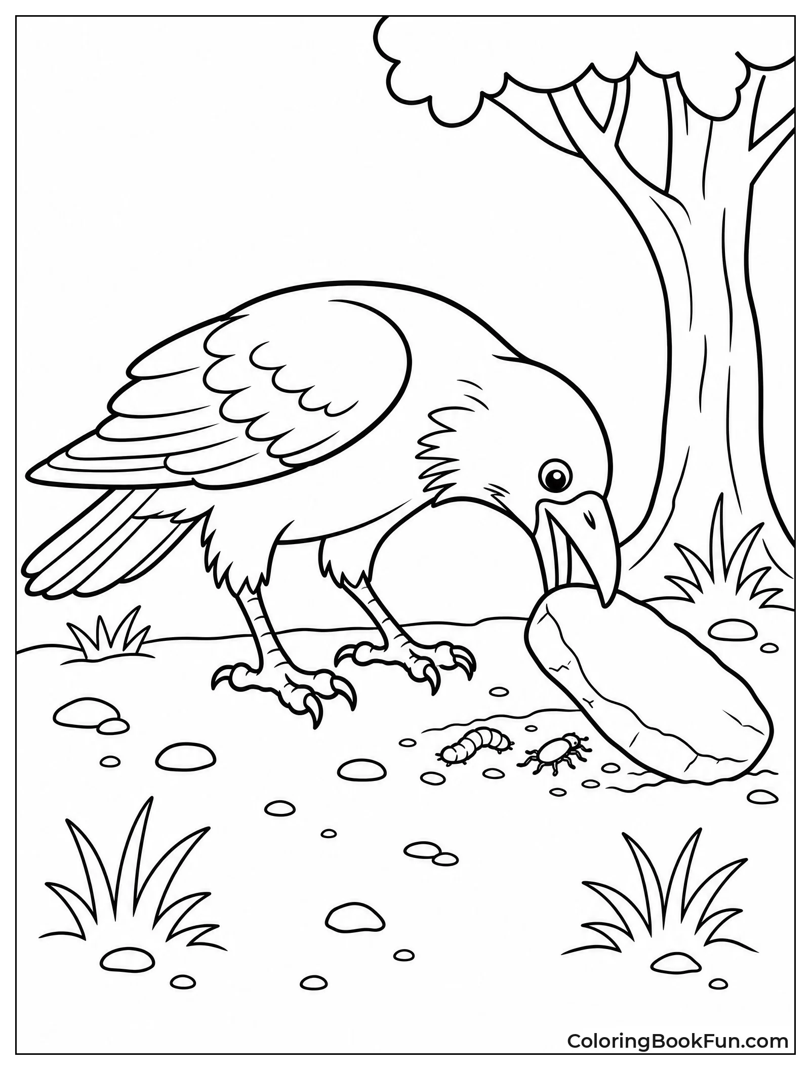 Raven Flips Stone to Find Food