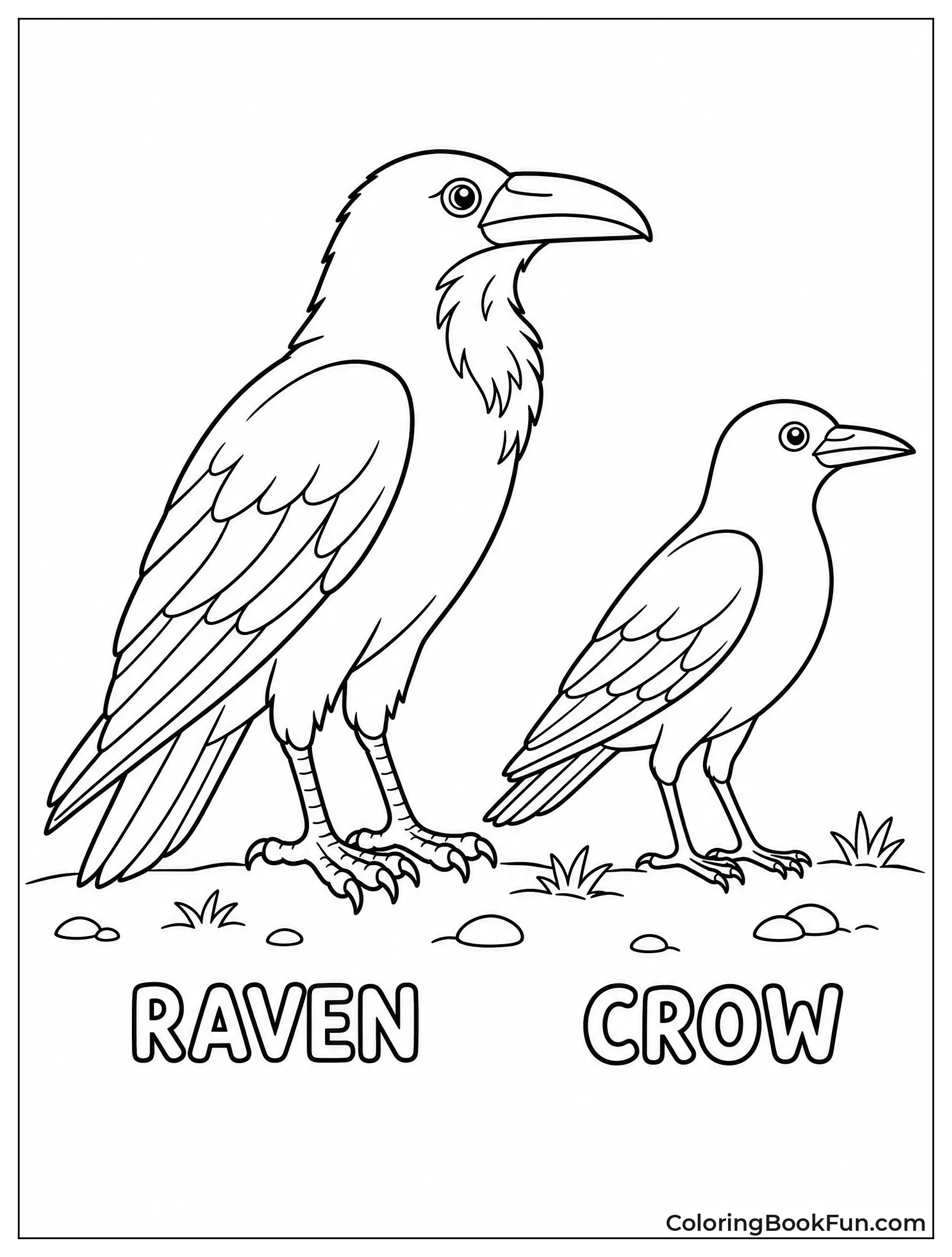Raven and Crow Side by Side