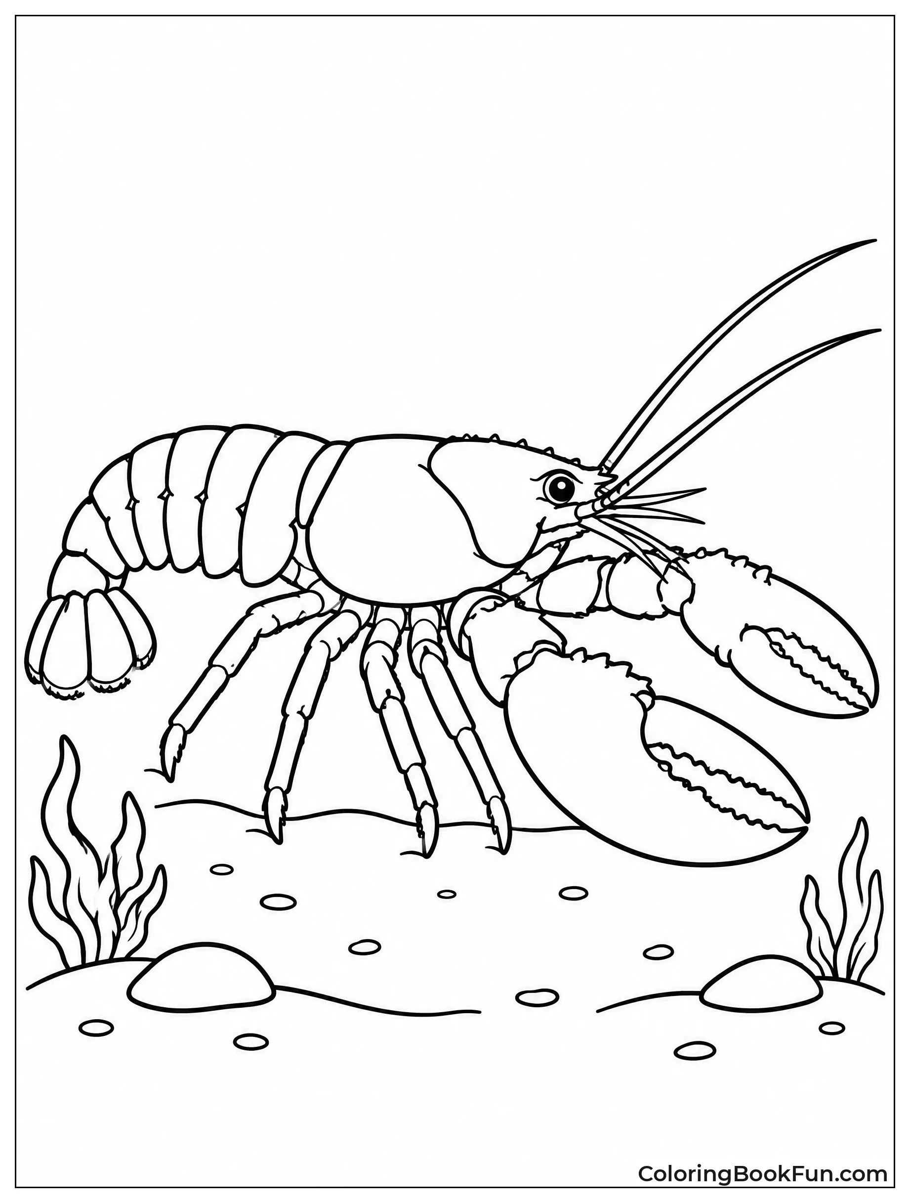 American Lobster Walking on Sand