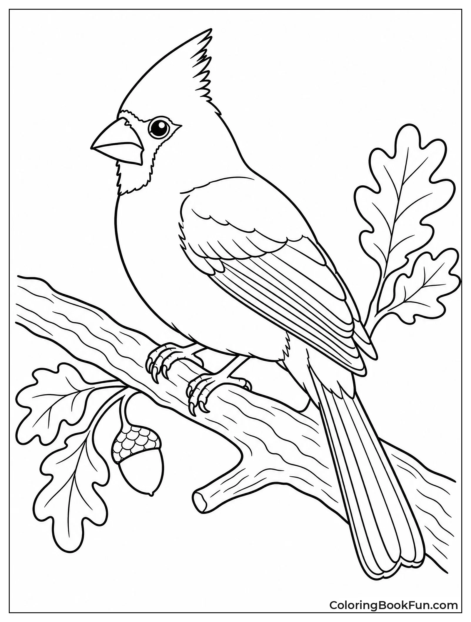 Realistic Cardinal Perched on Oak Branch