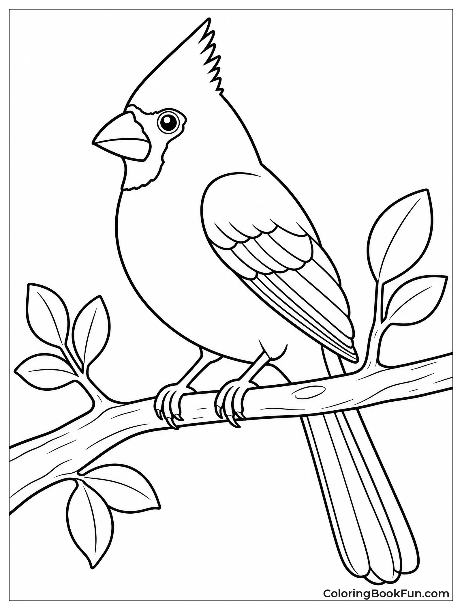 Red Cardinal Perched on Branch