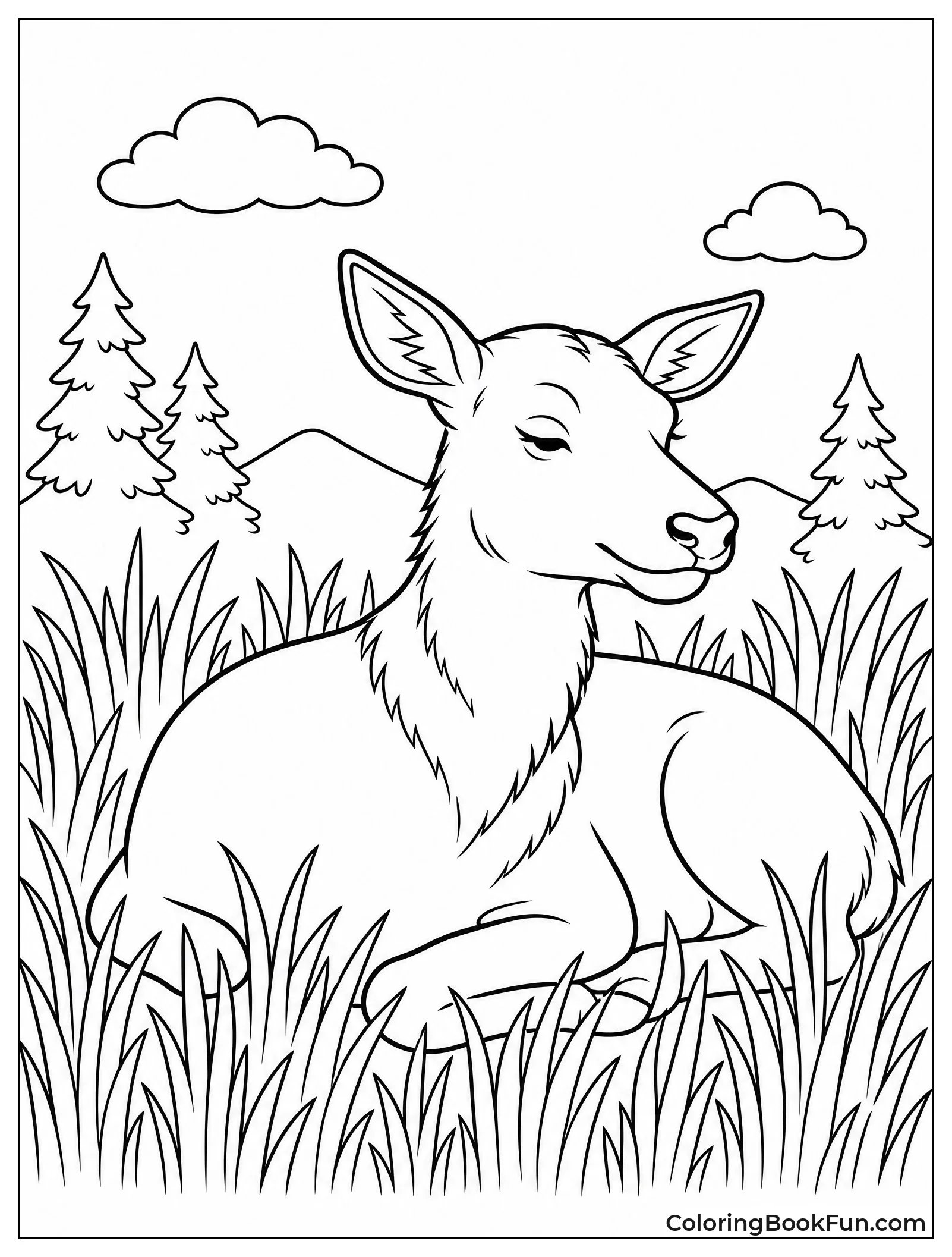 Cow Elk Resting in Grass