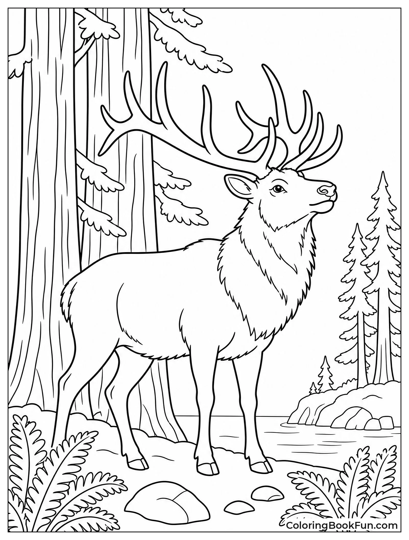 Roosevelt Elk in Misty Forest
