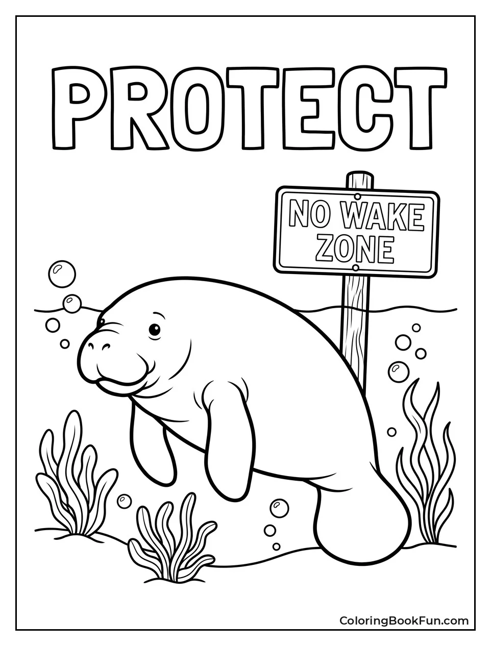 Manatee in No Wake Zone
