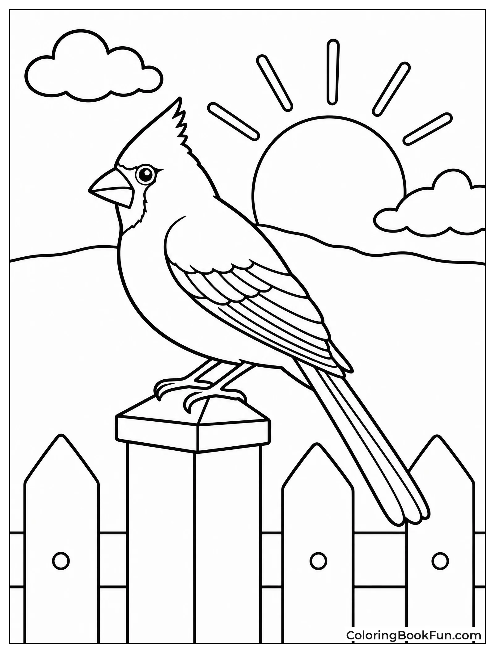 Cardinal Silhouette on Garden Fencepost