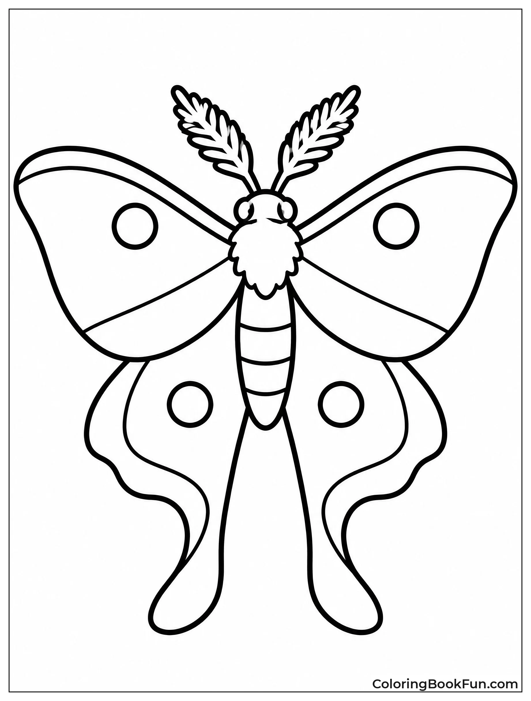 Simple Moth Outline for Coloring